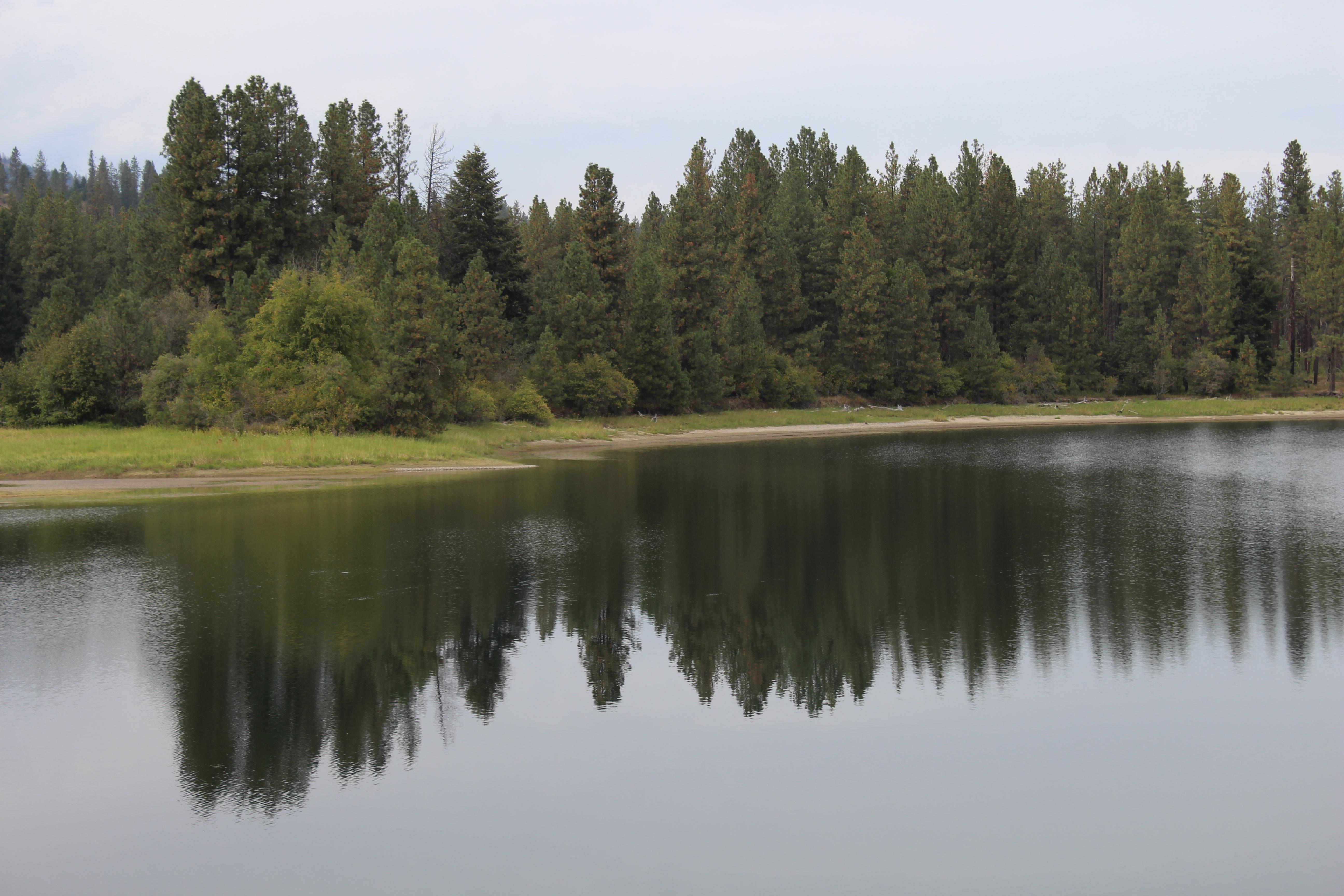 A view of the lake with rounded shore in front and heavy pines across the water.