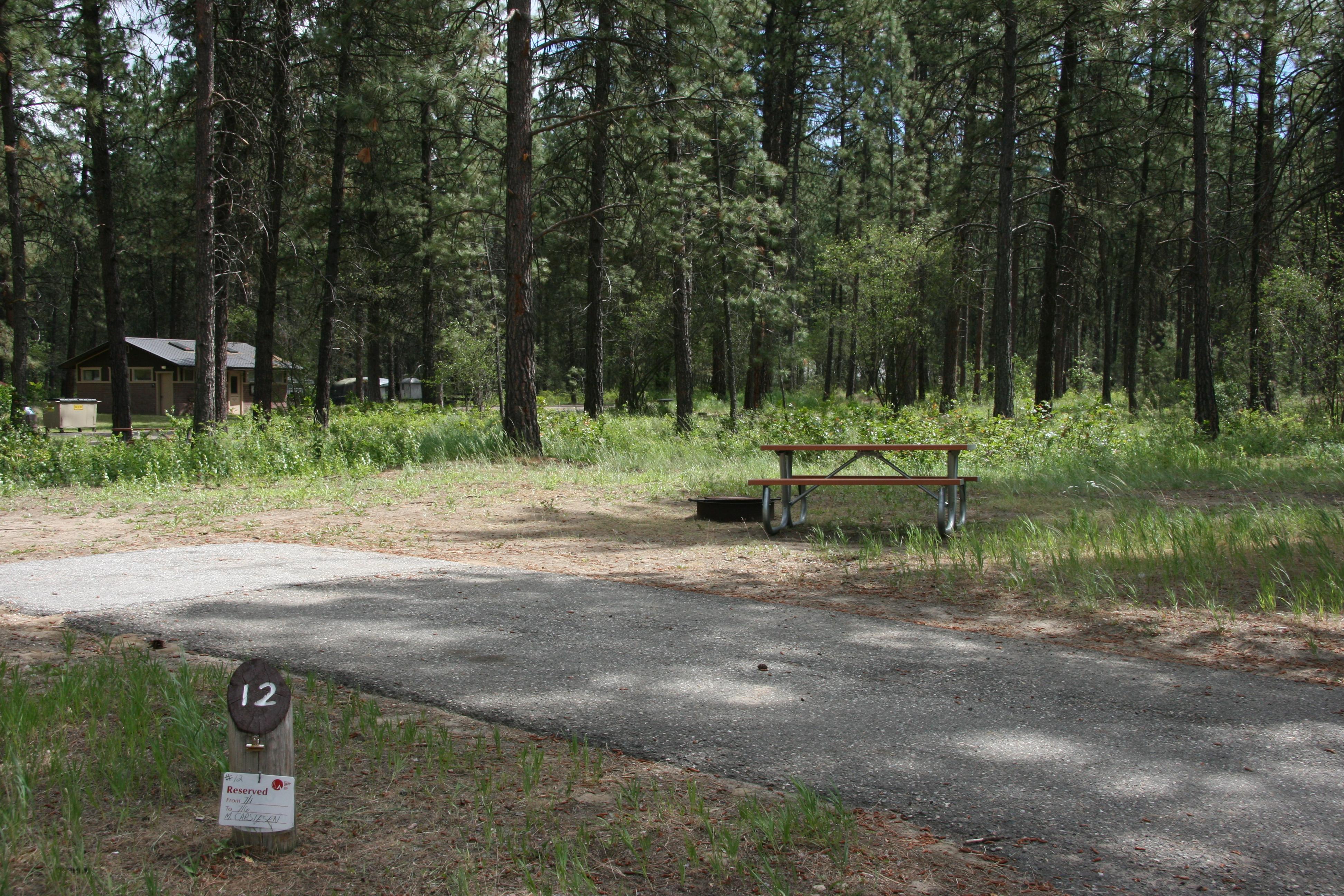 A campsite with a picnic table and a fire ring in the foreground, bathroom structures in the pines.