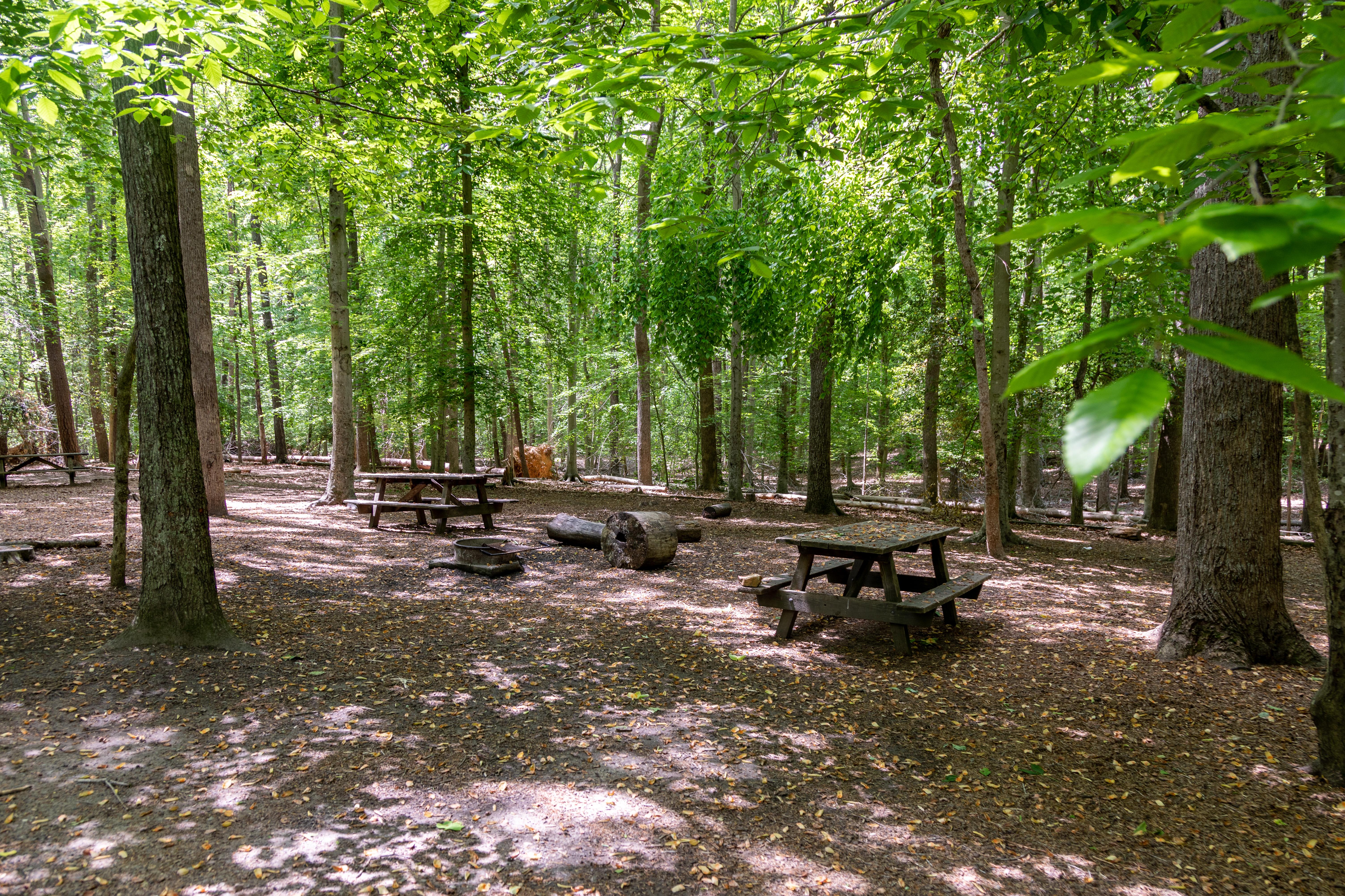 Turkey Run Ridge Group Campground
