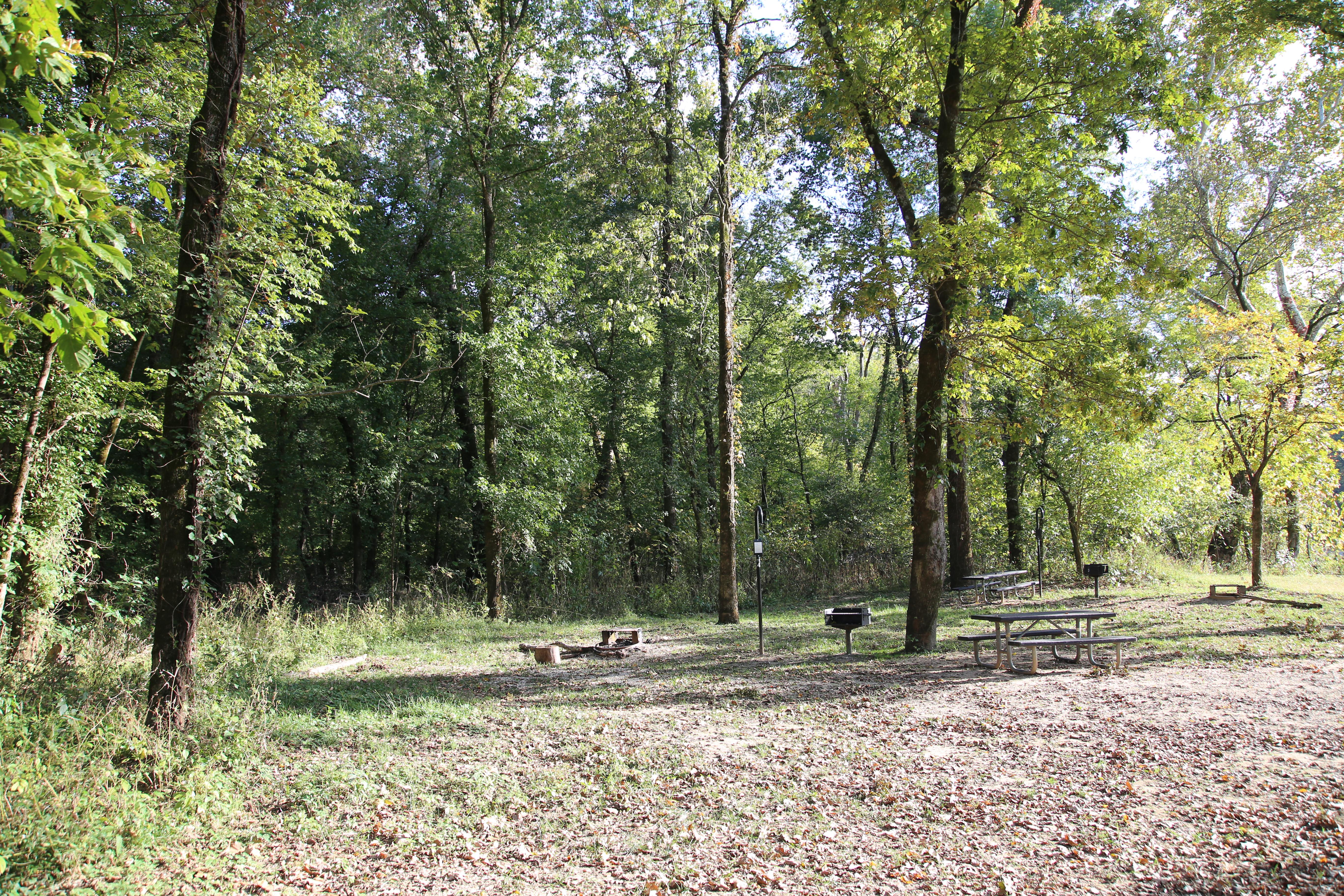 Two campsites along a woodland edge.
