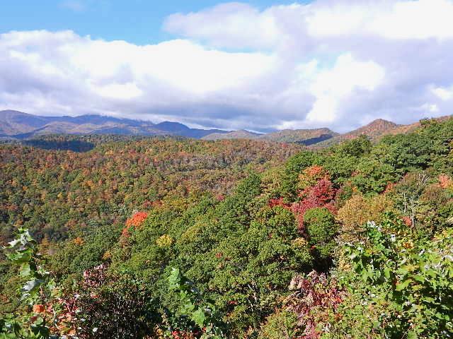 A forest with early fall colors stretches to distant mountains, with white puffy clouds above