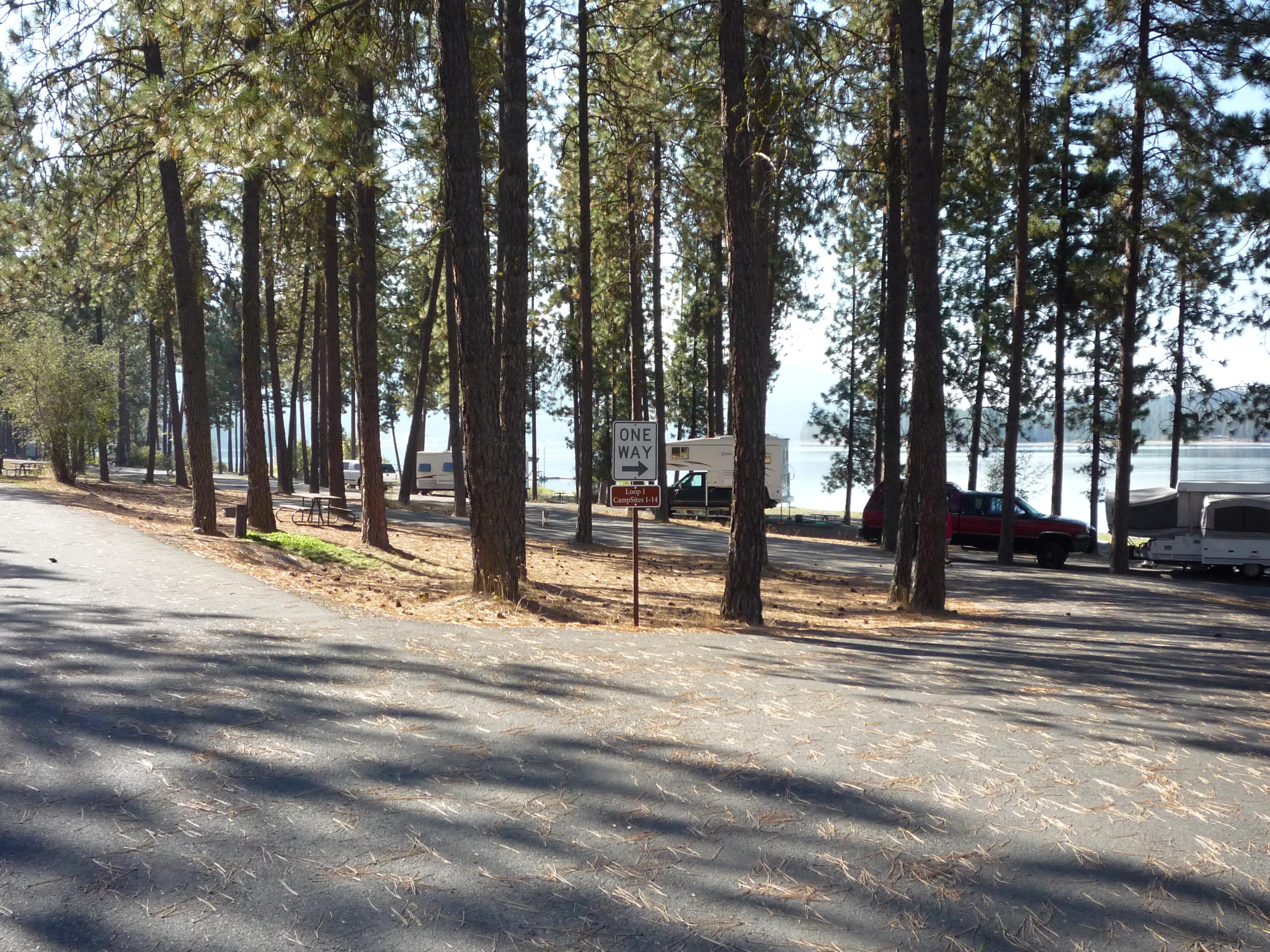 A paved campground loop in the pines adjacent to the lake with a view of the lake beyond.