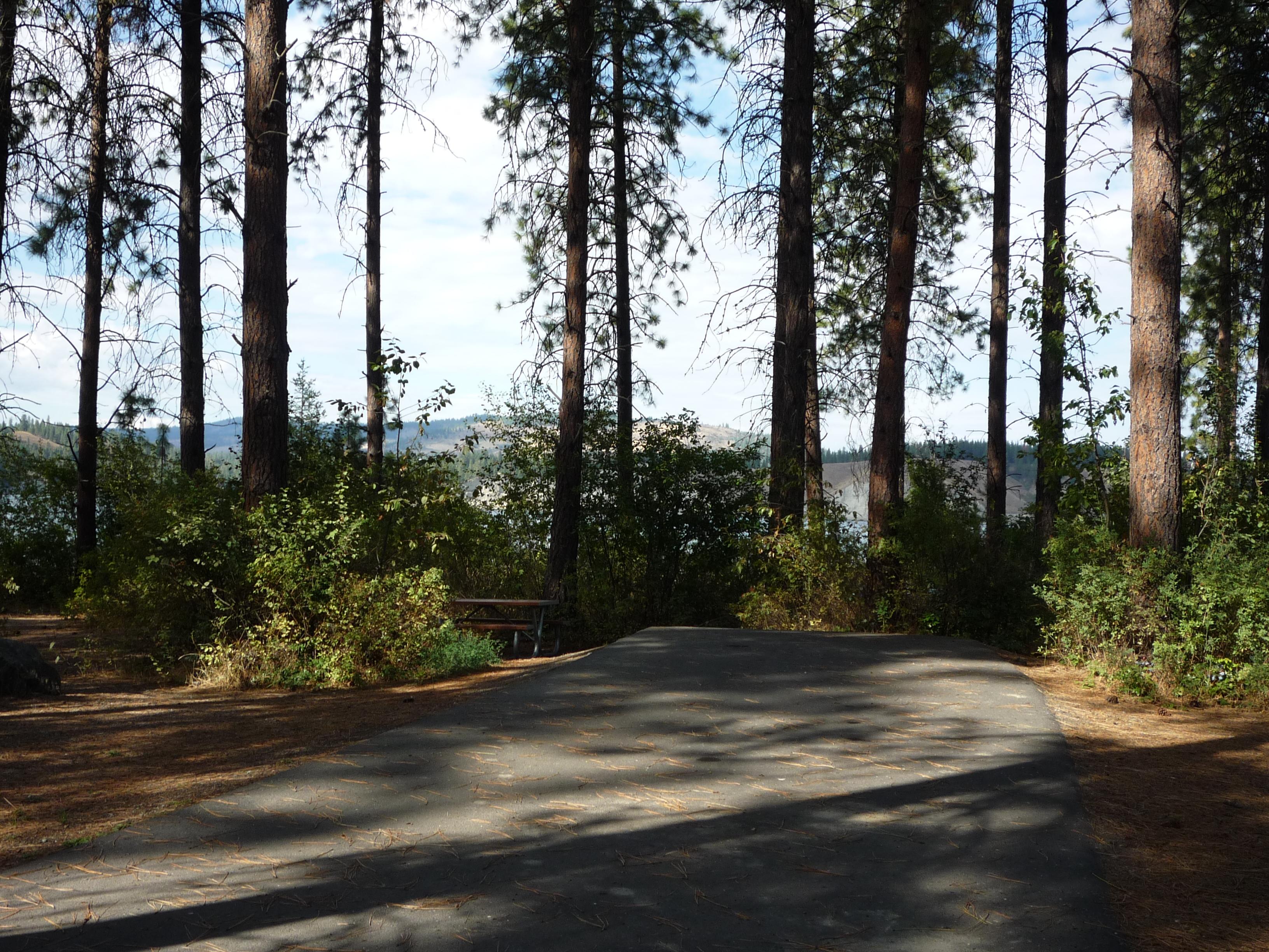View of a campsite with paved parking, picnic table, and fire ring in the pines.