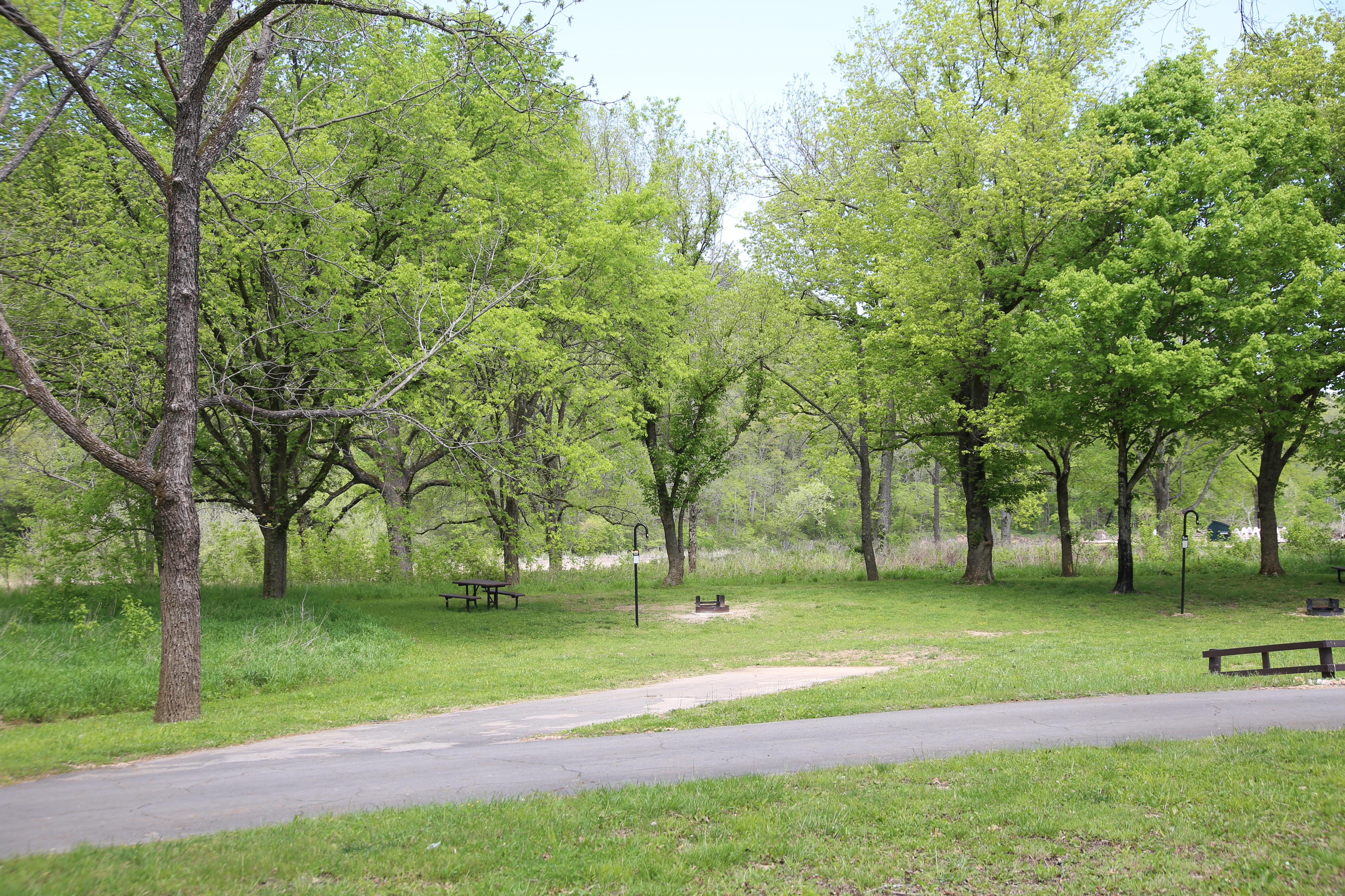 A grassy campsite with trees on its edges.