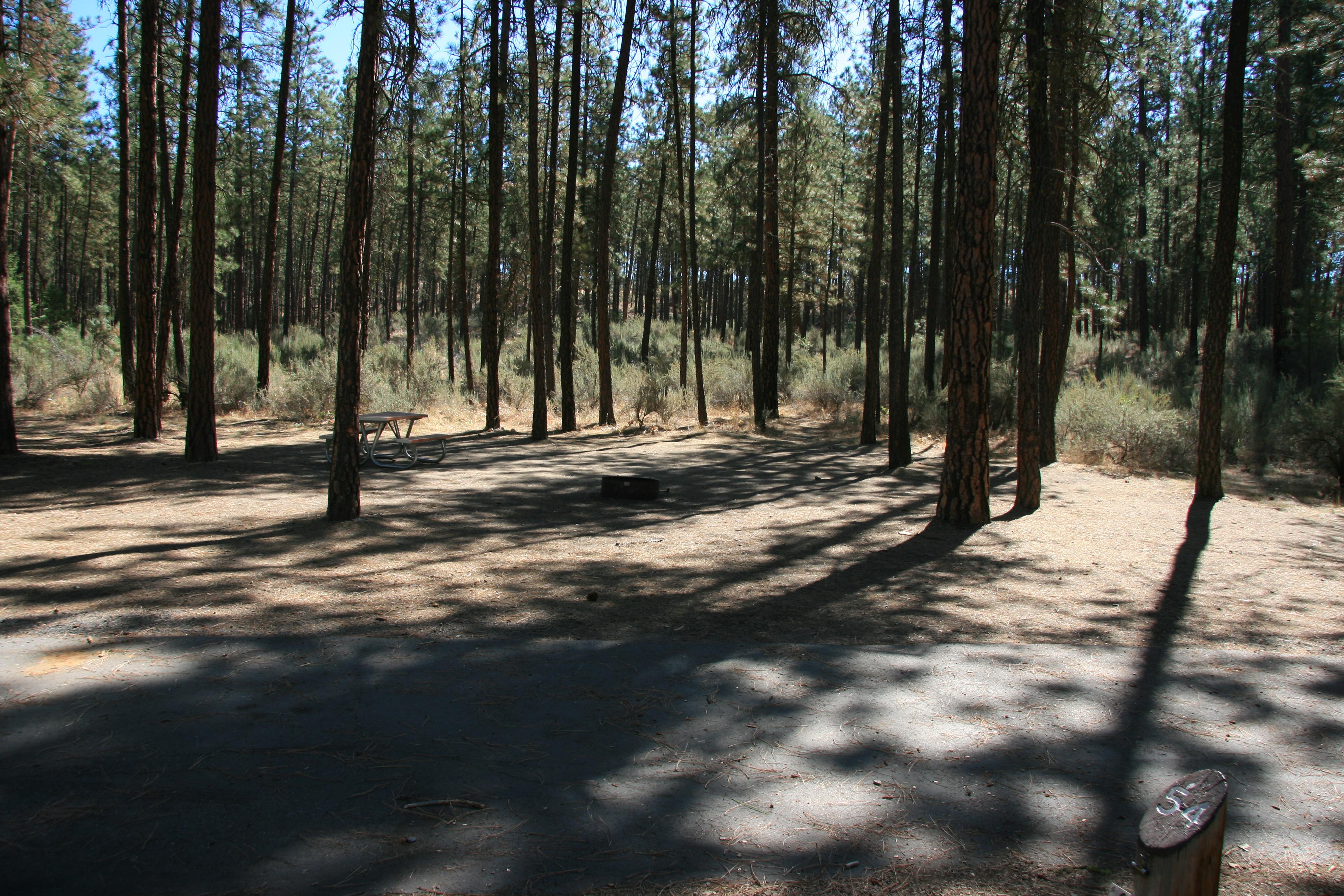 A campsite with paved parking, picnic table, and fire ring in the pines.