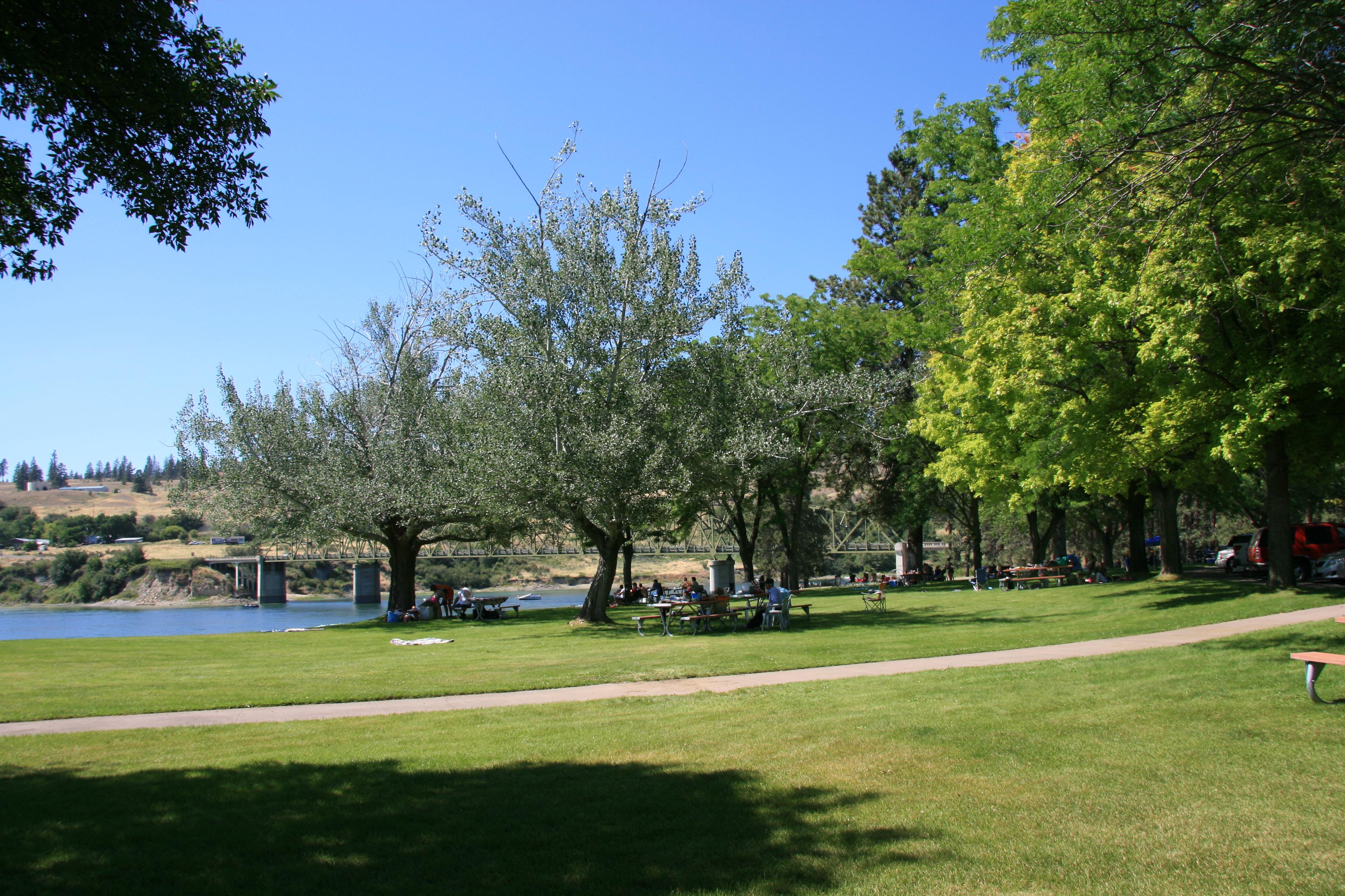 A grassy area with picnic tables next to the lake.