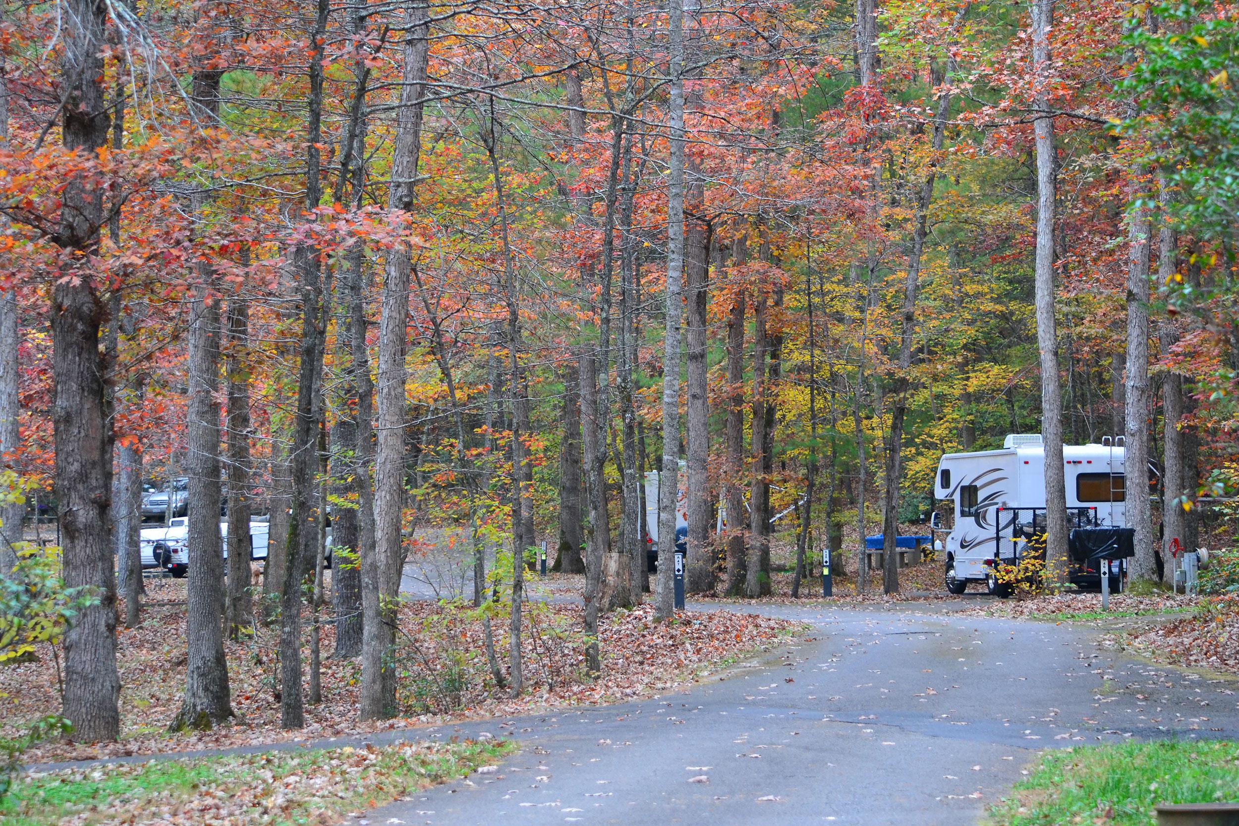 Three RVs parked at campsites in a colorful fall forest