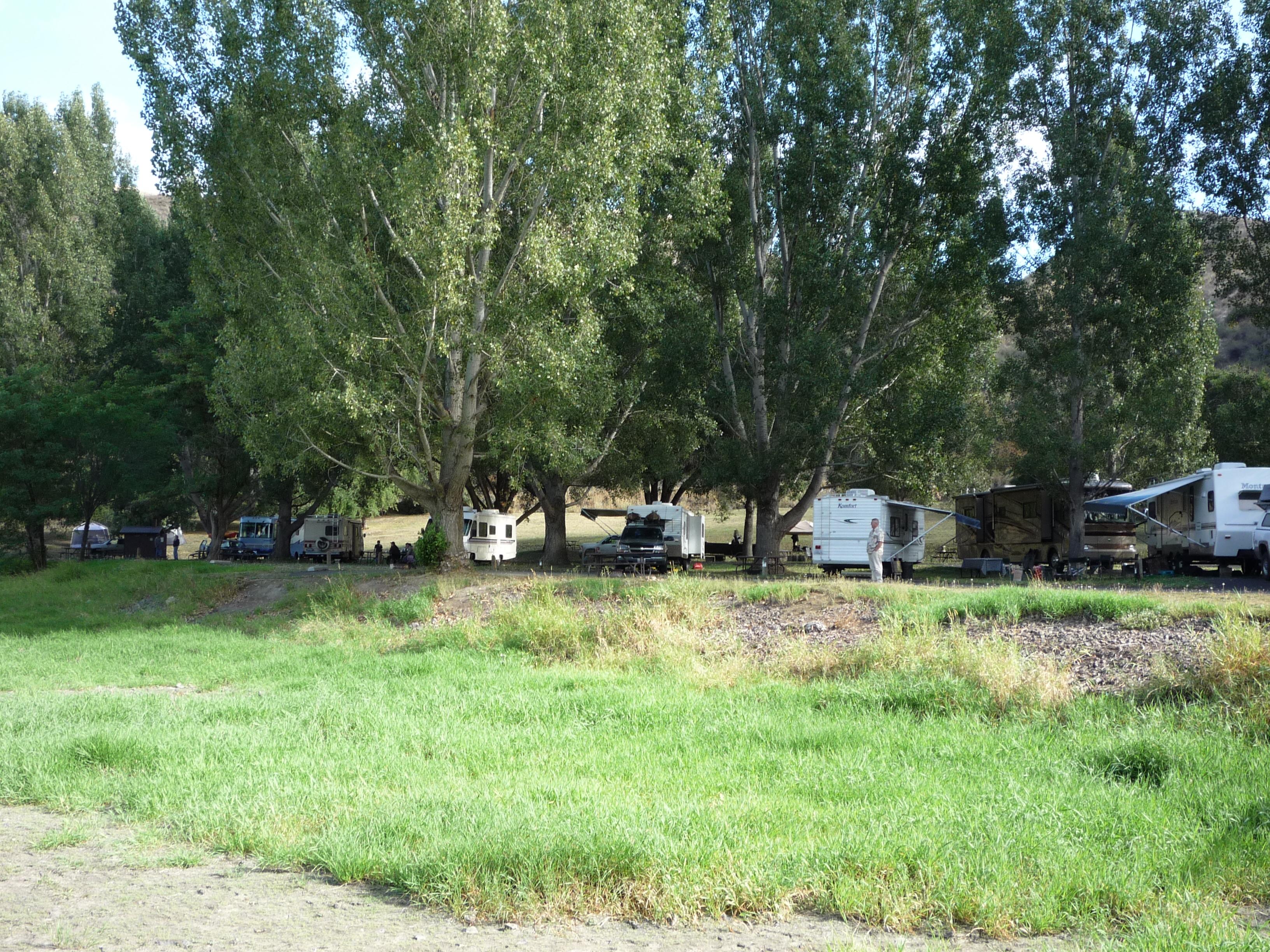 Looking down a row of campsites along a paved access road.