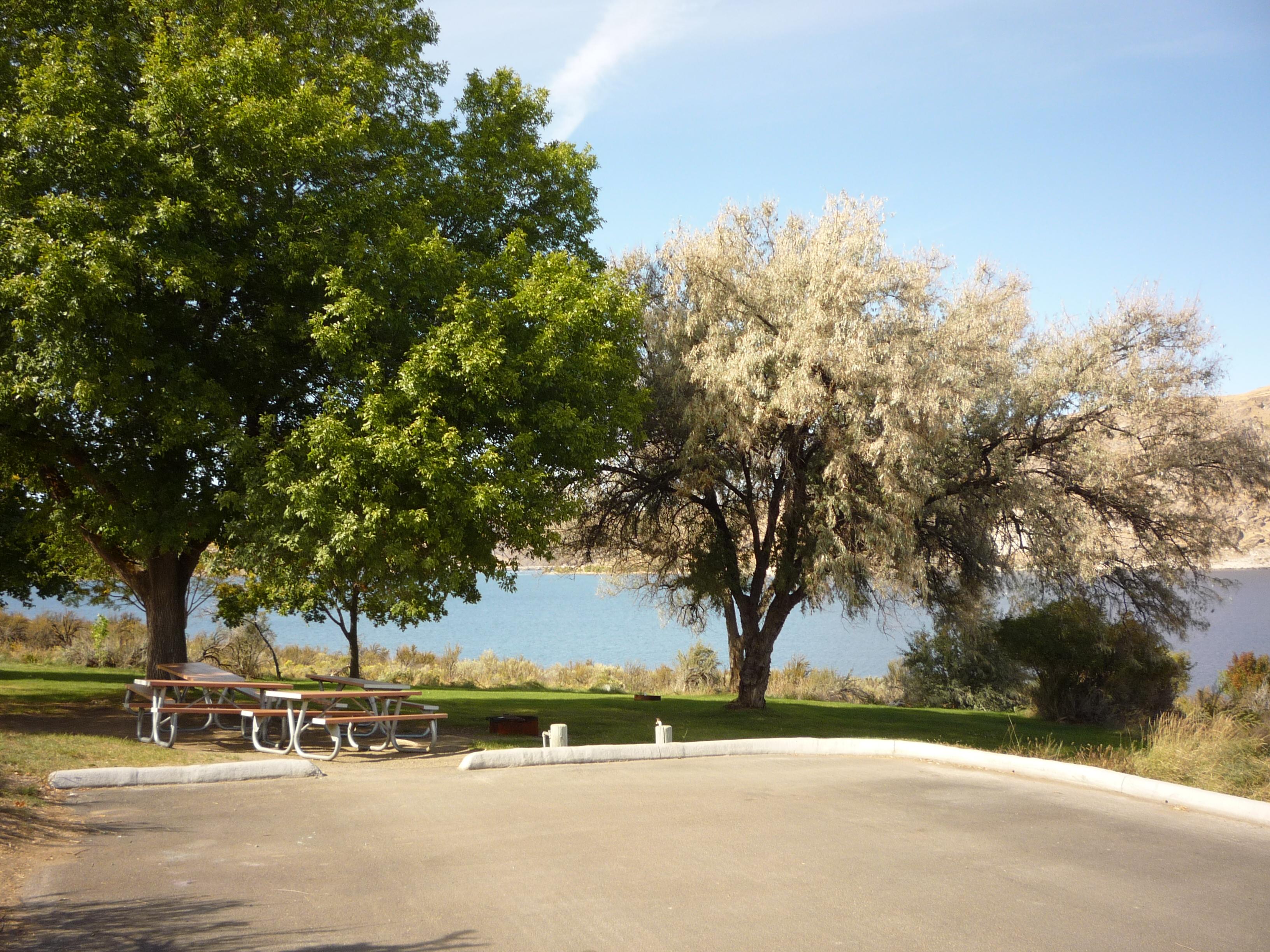 Picnic tables and a bathroom adjacent to a large grassy area and paved parking access.