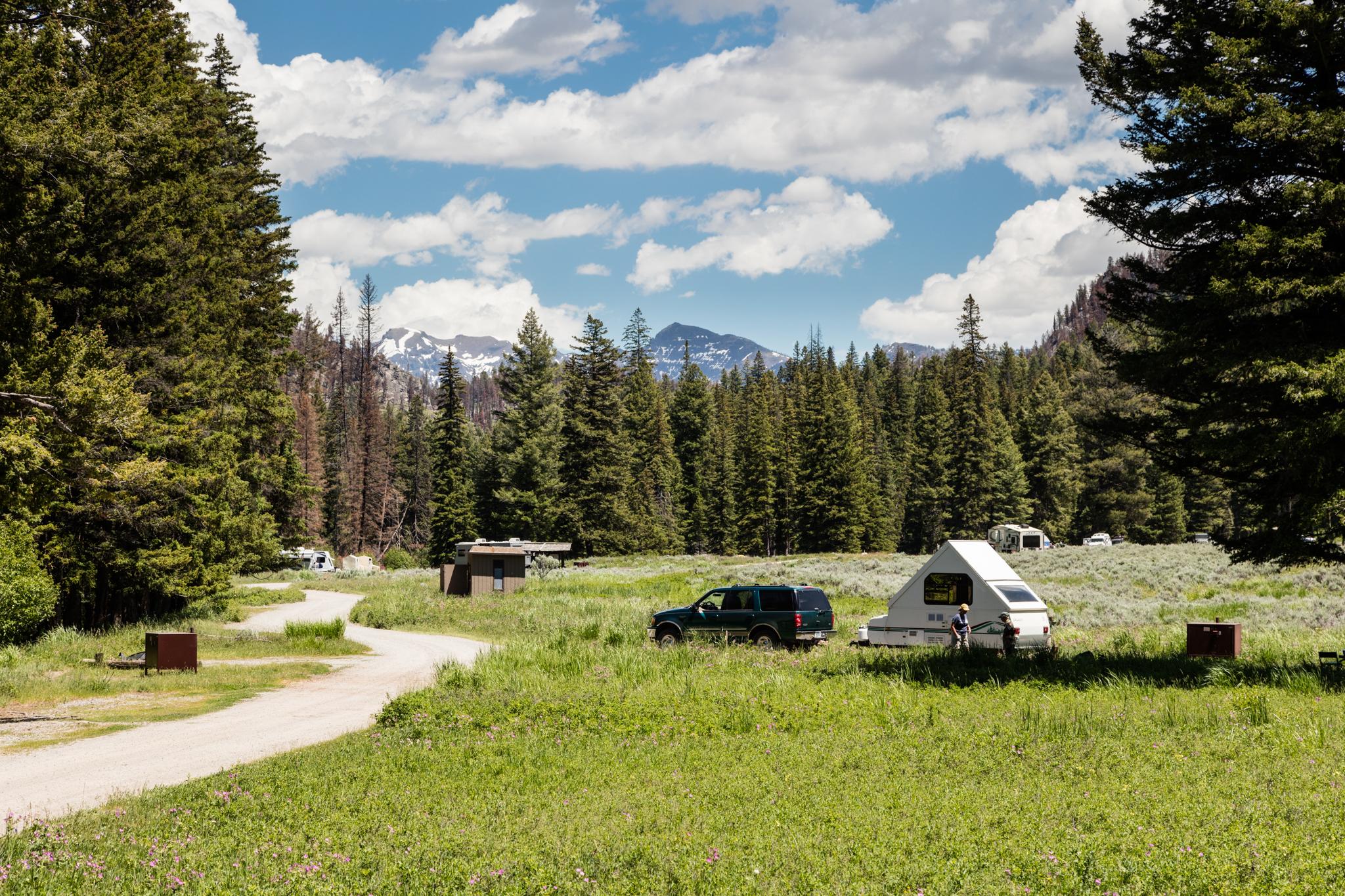 Campsites in the Slough Creek Campground