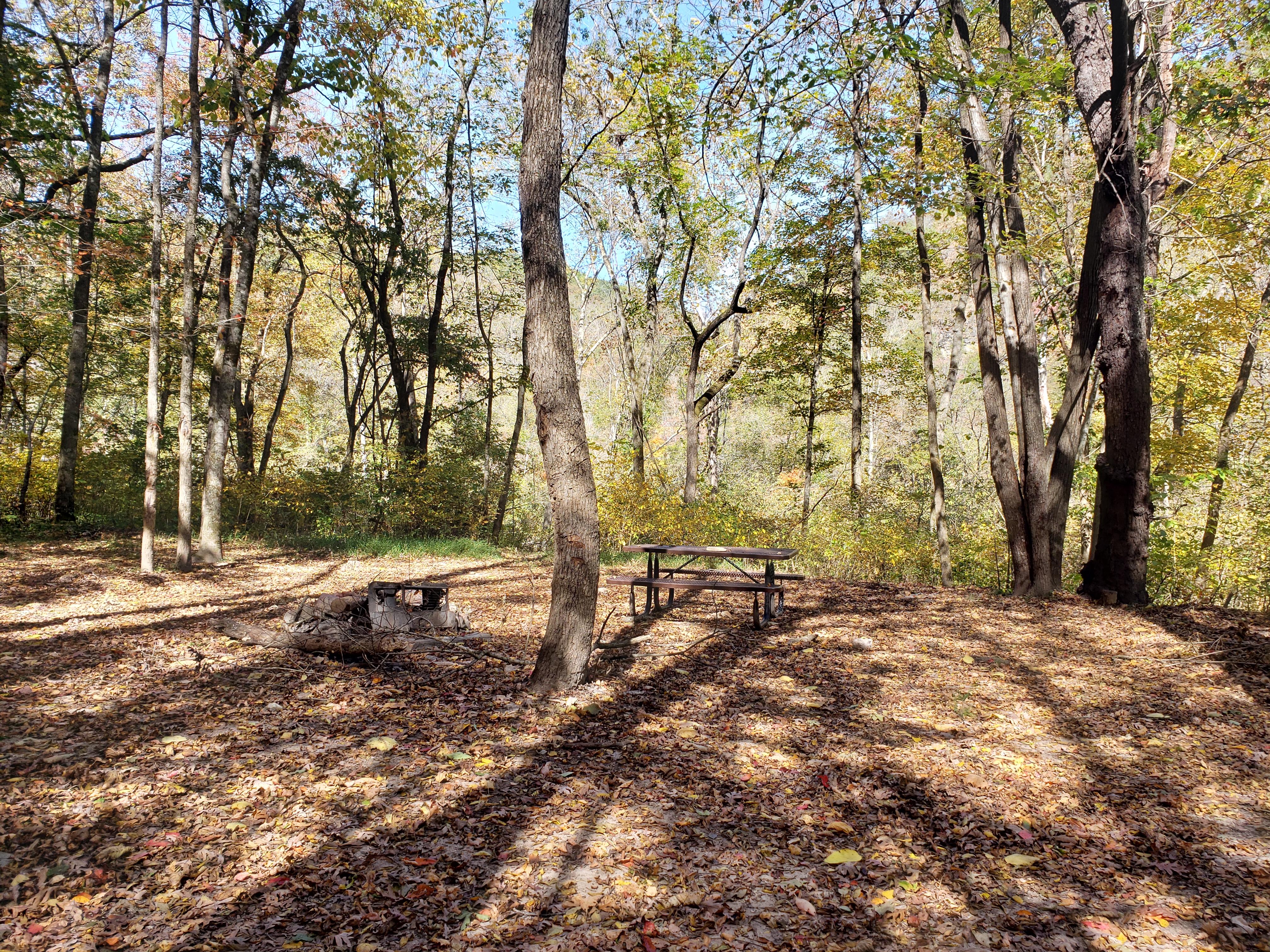 A woodland campsite with a fire ring and picnic table.