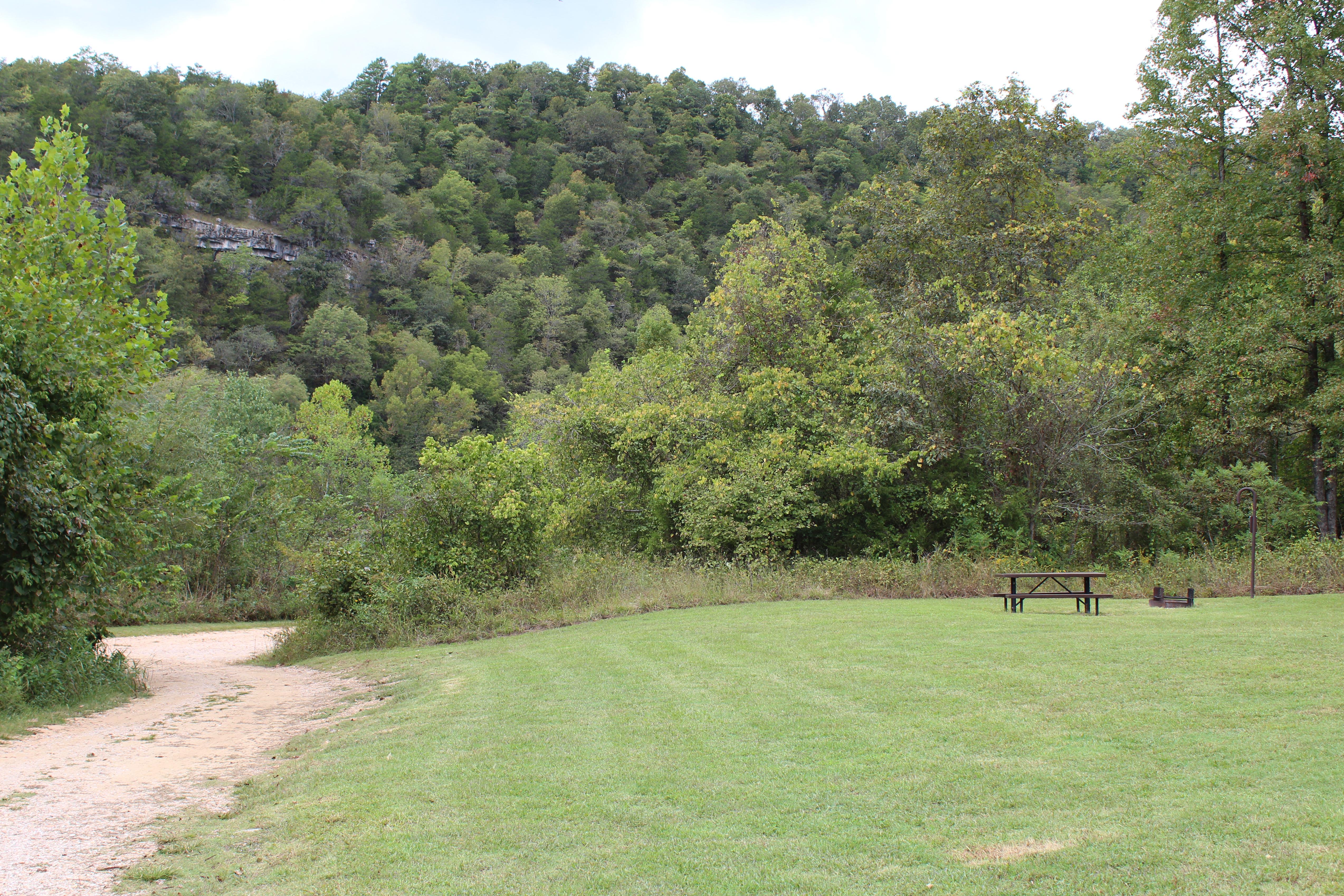 Mowed grass with a picnic table and fire pit and view of a forested cliff behind.