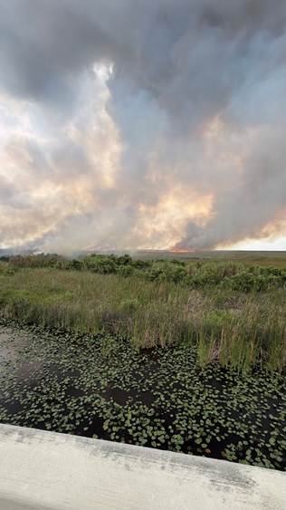 U.S. Wildland Fire Service Wildland Firefighters are Working to Contain Bluegill Fire in Everglades National Park 