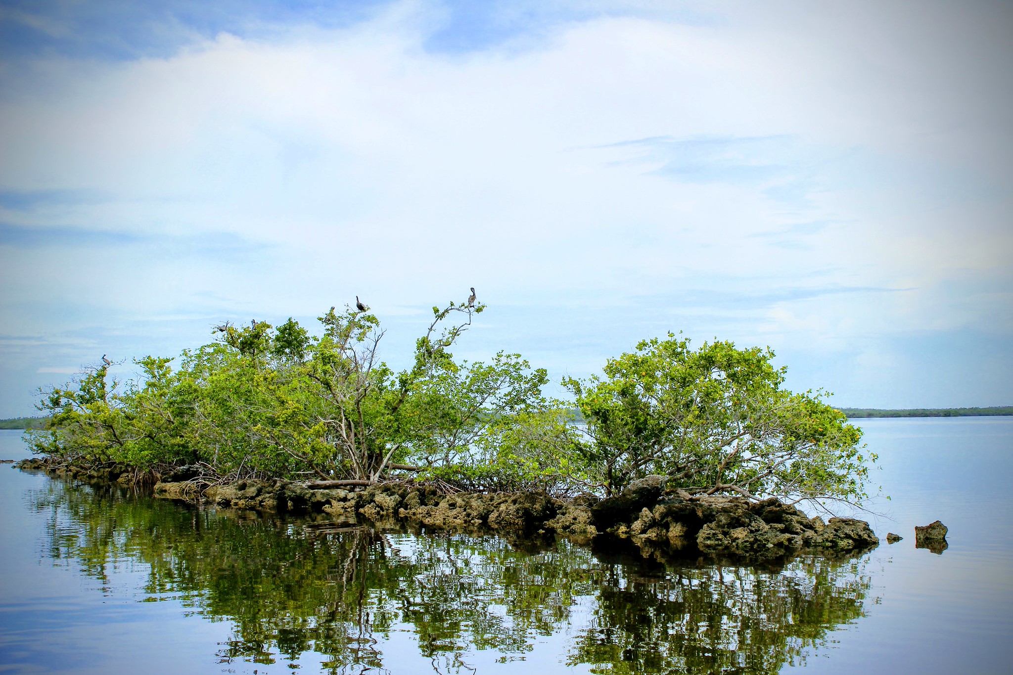 Everglades National Park Issues Finding of No Significant Impact for U.S. Army Corps of Engineers Everglades Harbor and Channel Dredging Project Environmental Assessment