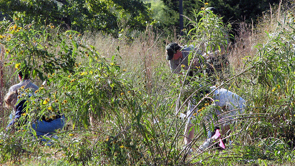 Fort Scott National Historic Site to Host National Public Lands Day Event Sept. 27