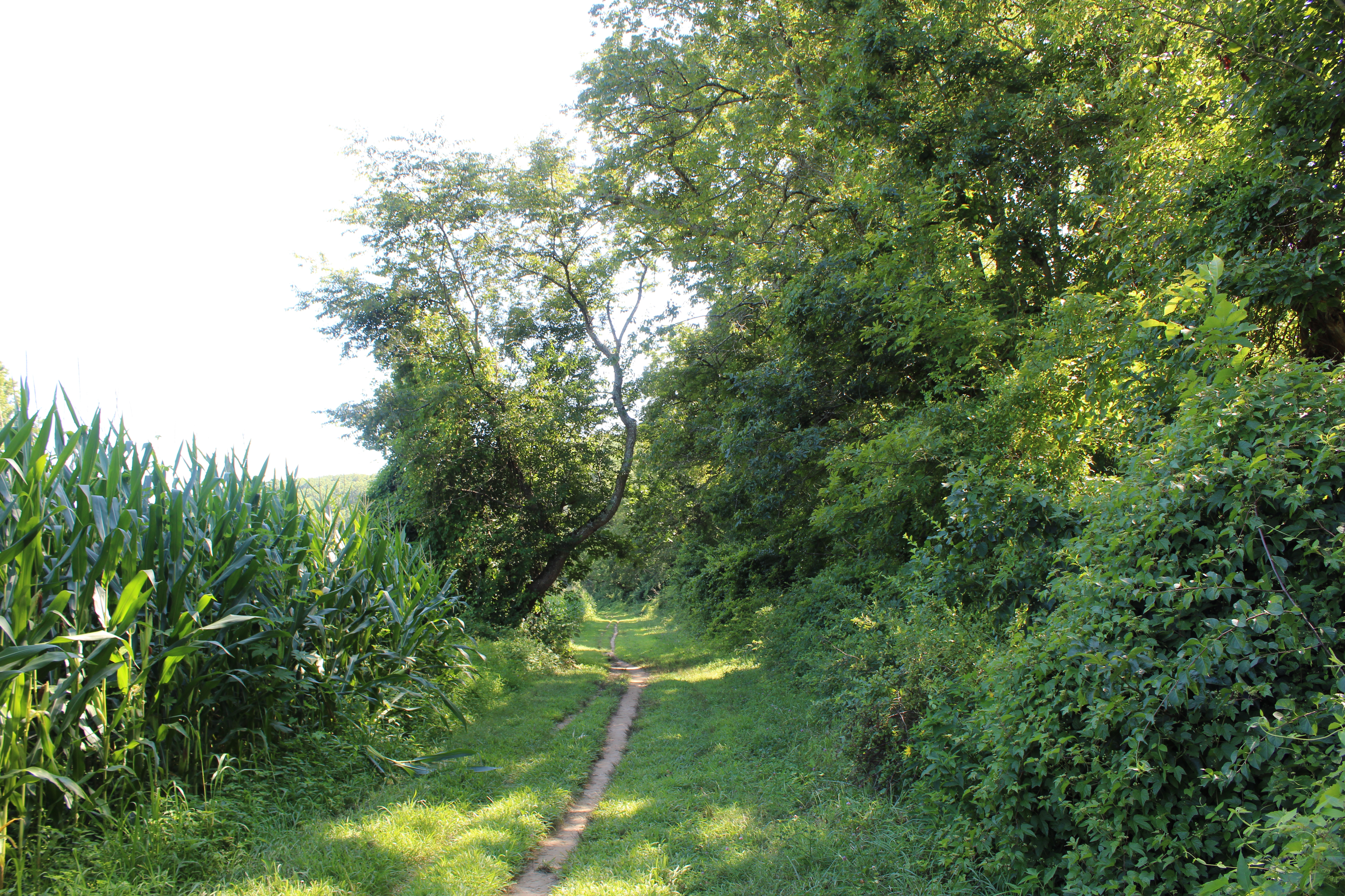 National Park Service Proposes Rule to Allow Bicycle Use on Designated Trails at First State National Historical Park