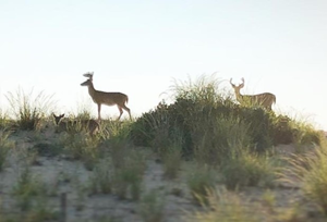 Gateway National Recreation Area Open House