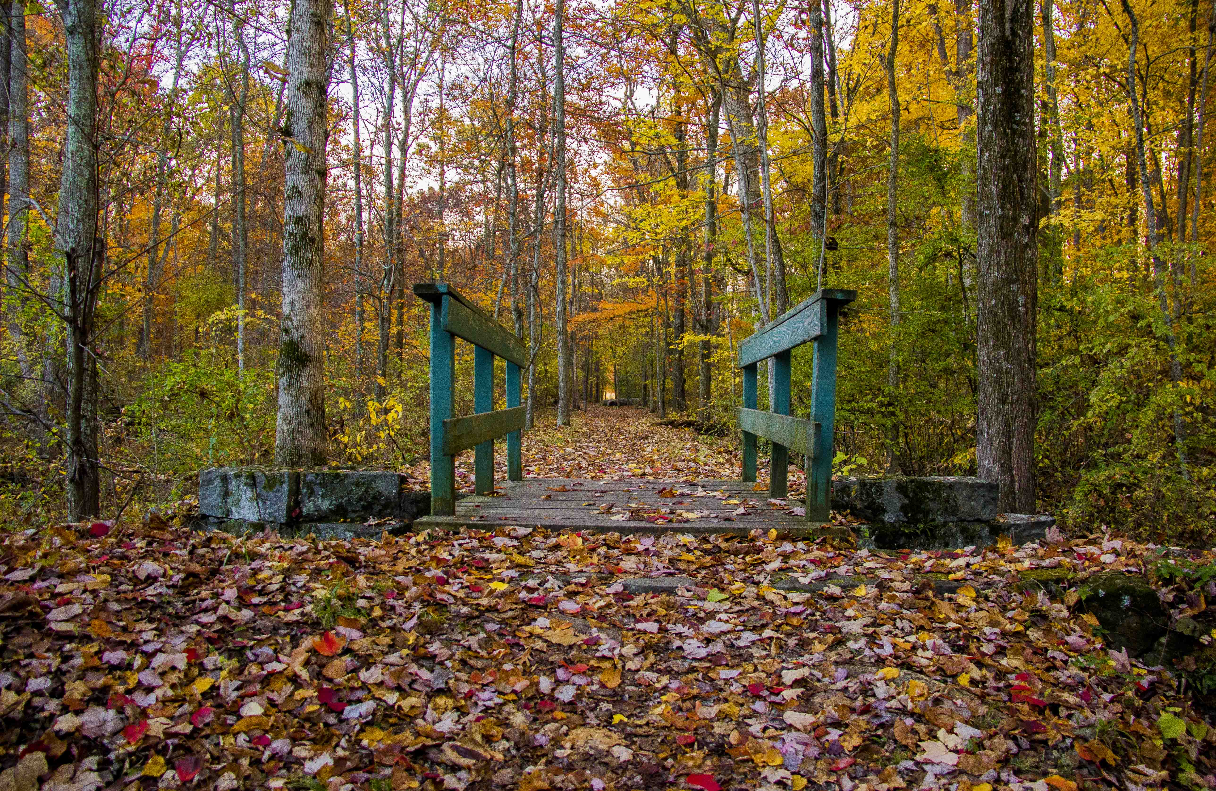 “Fall into History” at Gettysburg National Military Park