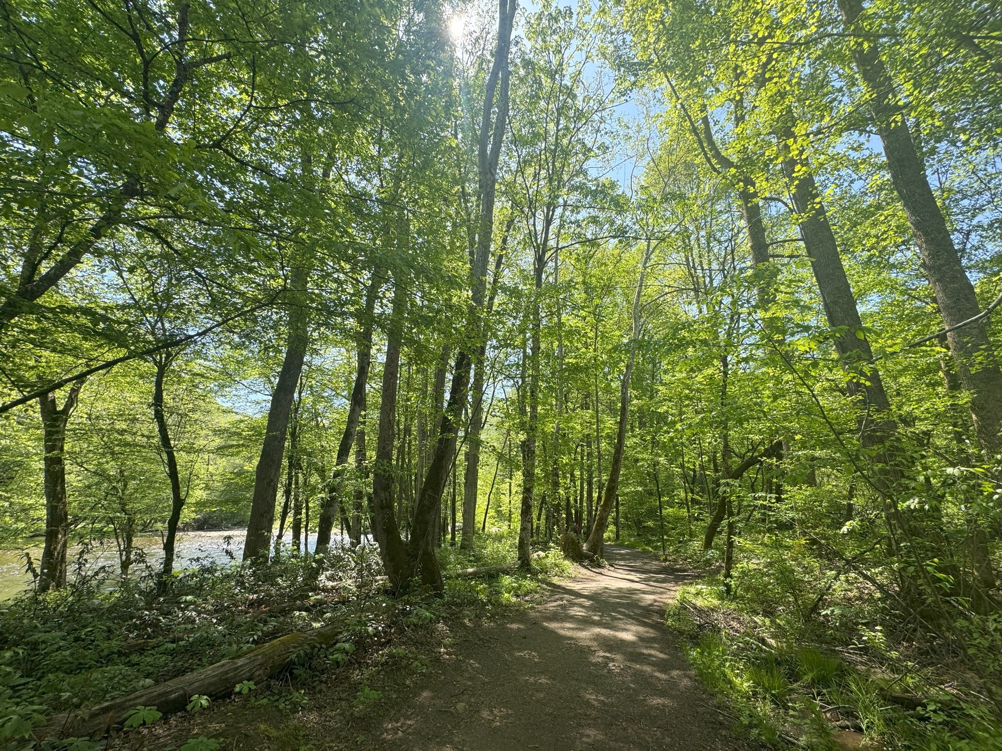 Great Smoky Mountains National Park Invites Public Review of Floodplain Statement of Findings for Oconaluftee River Trail Improvements