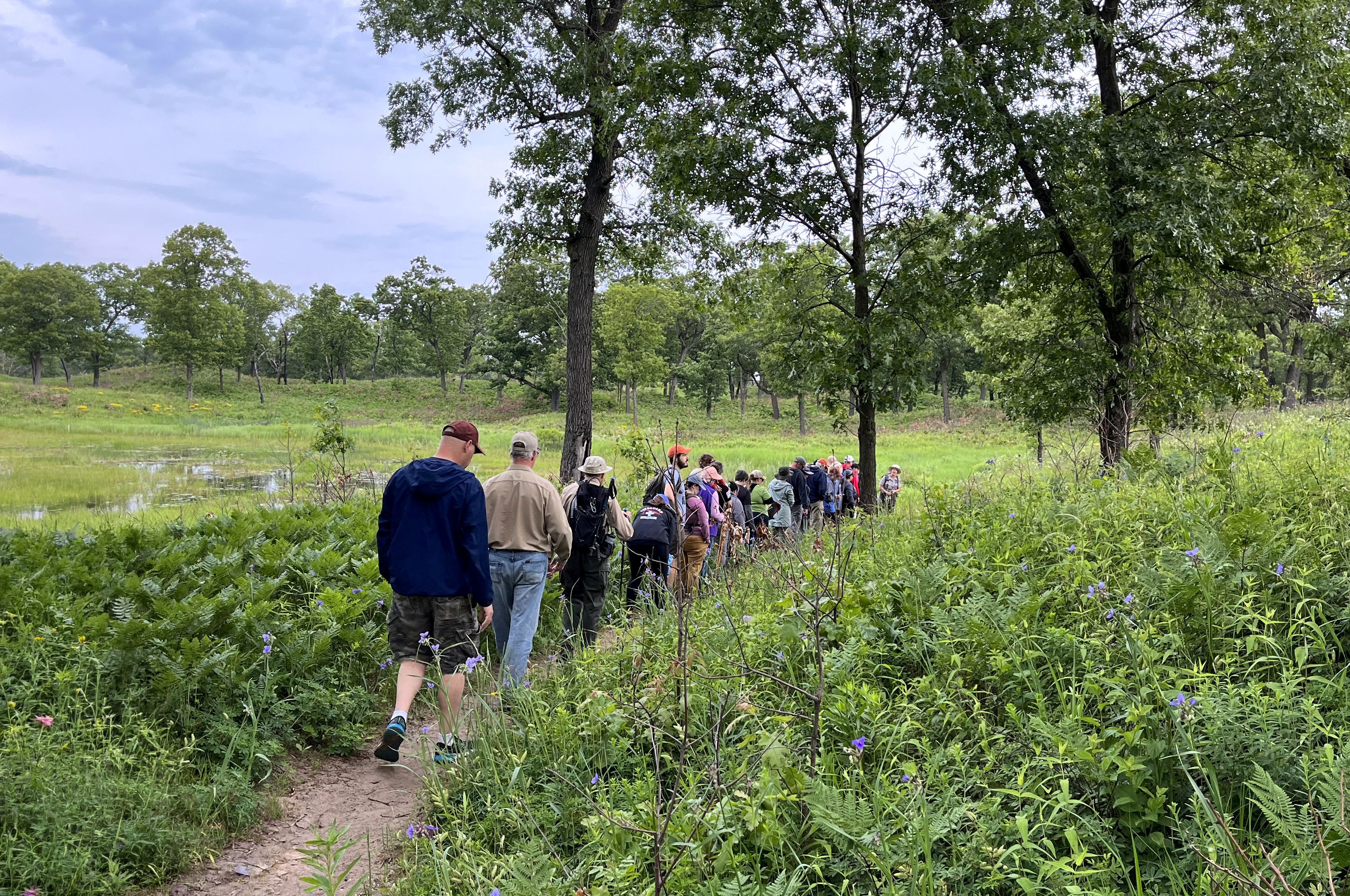 Indiana Dunes National Park Waives Miller Woods Trails Entrance Fees