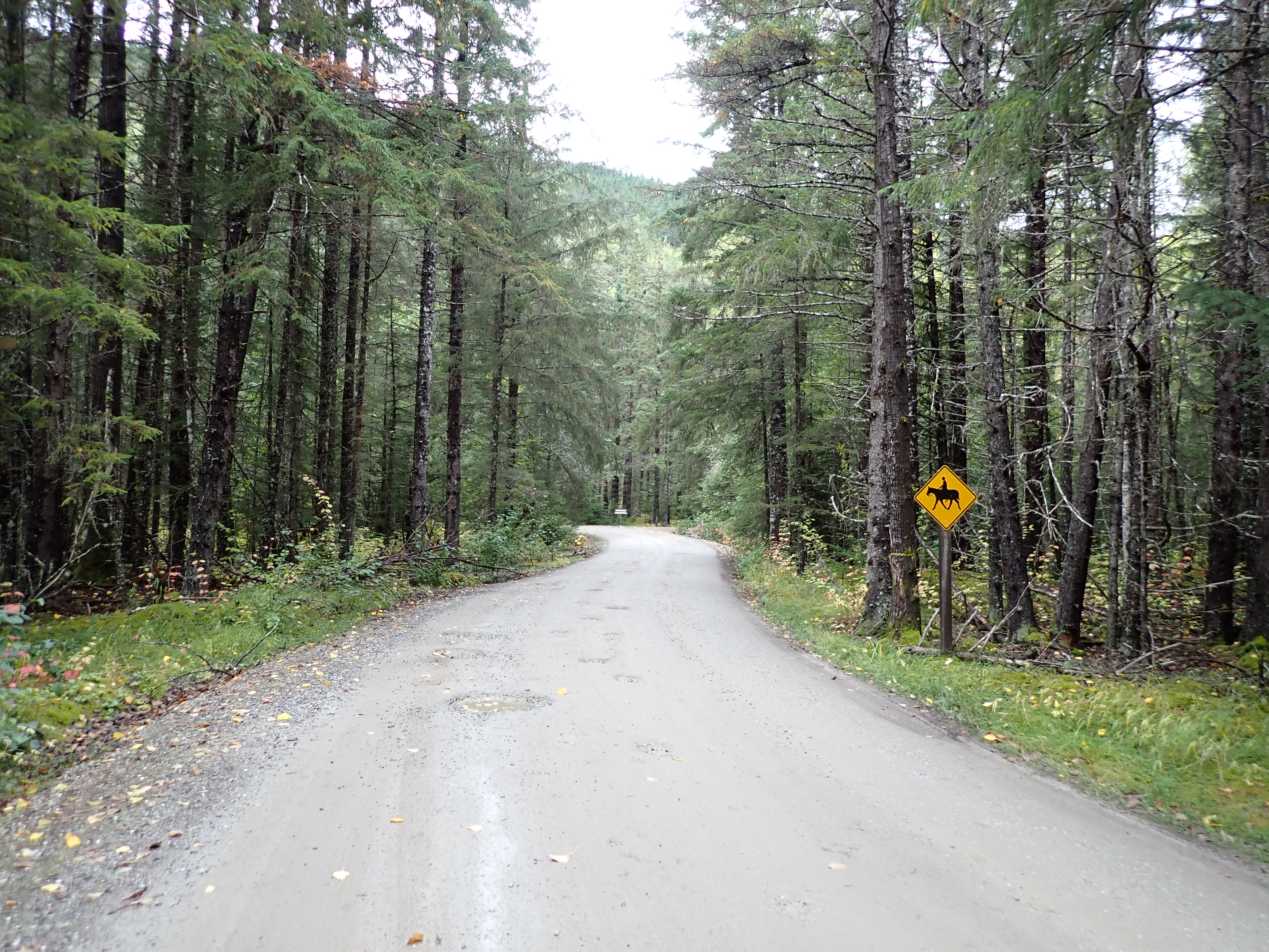 Dyea Flats Road construction to cause temporary closures, delays