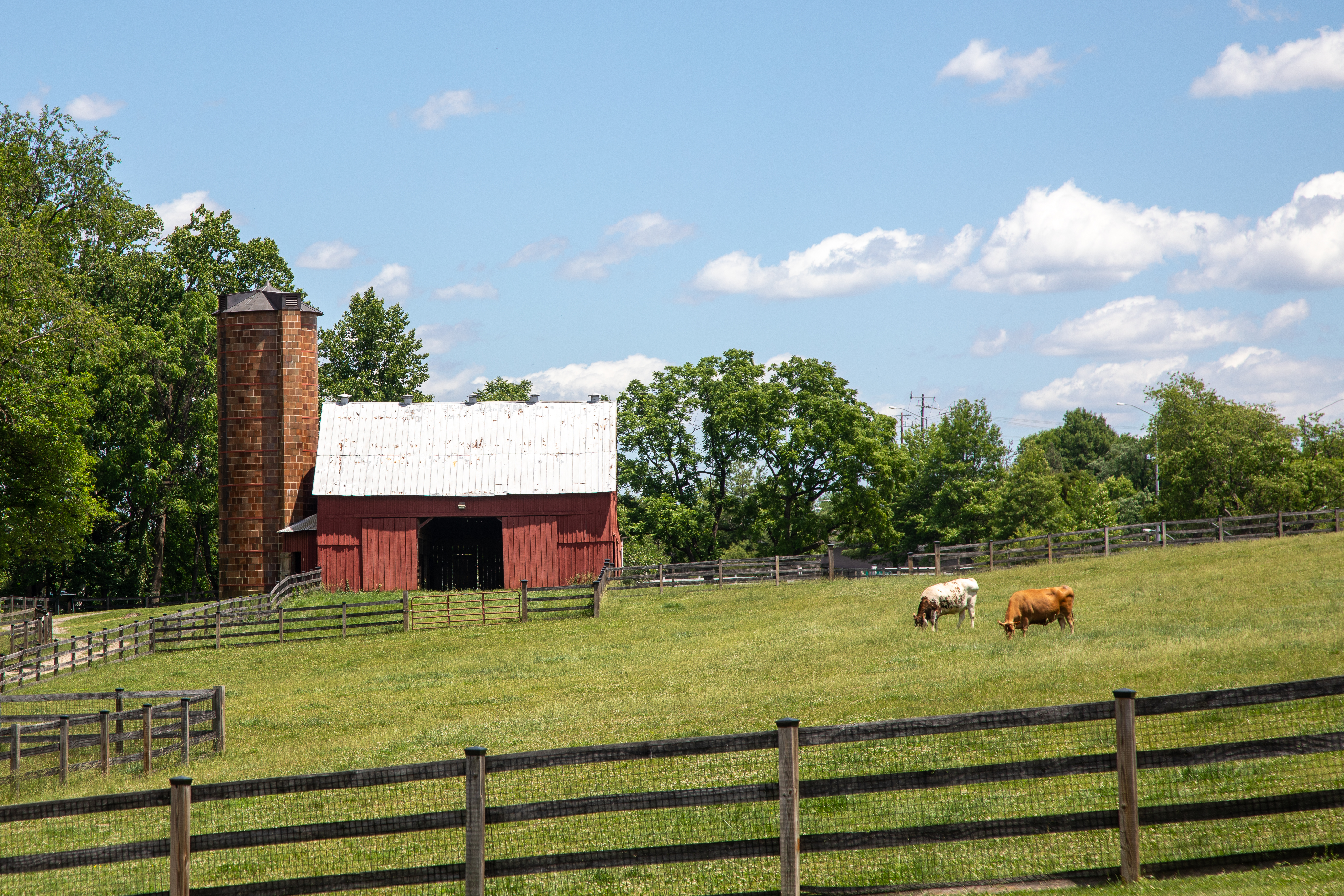 Fall Fun Returns to Oxon Hill Farm With Free Festival Oct. 17