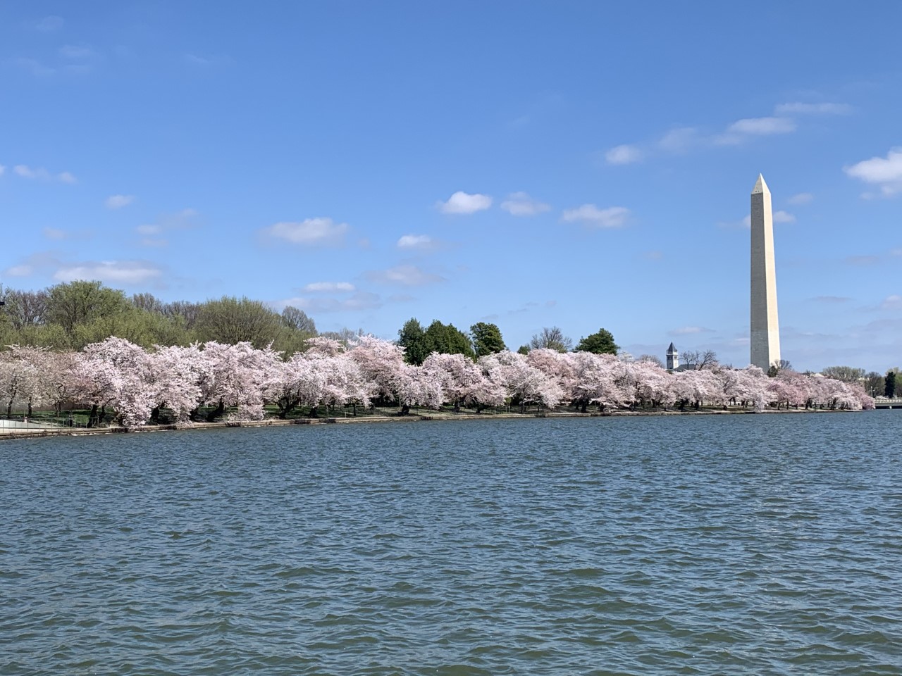 National Park Service seeks public comment on plan for future of the Tidal Basin