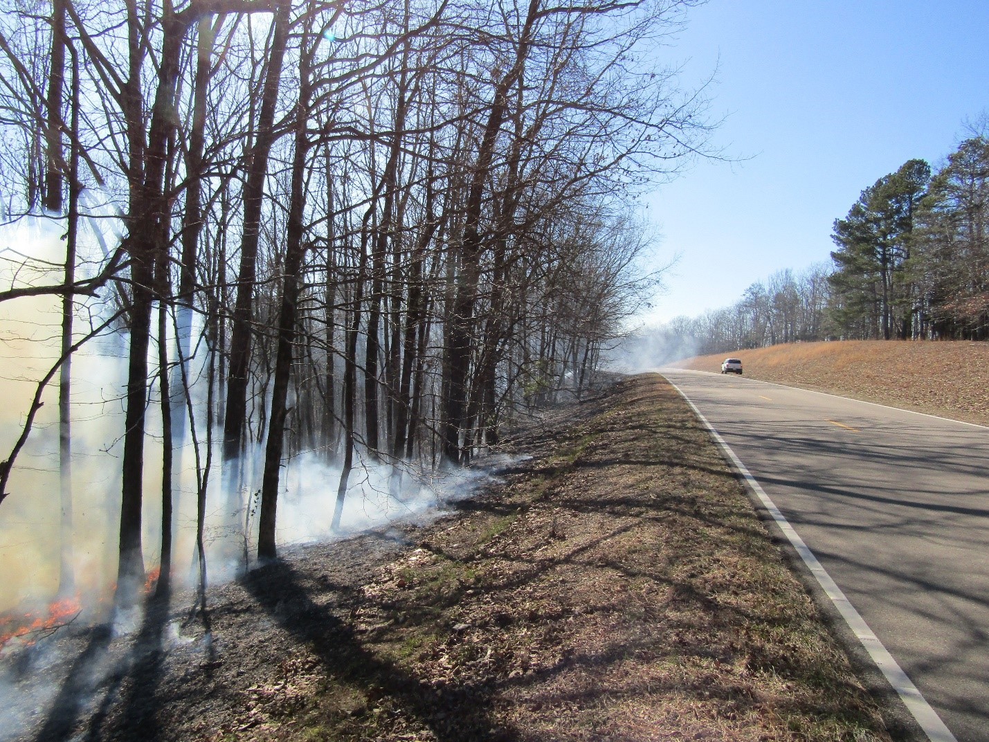 Prescribed fire season begins on Natchez Trace Parkway