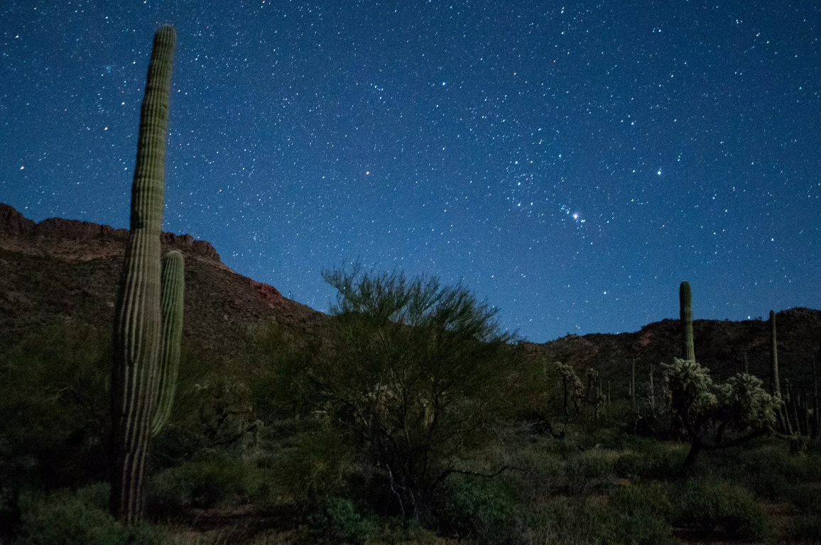 Organ Pipe Cactus National Monument Certified as a Dark Sky Park