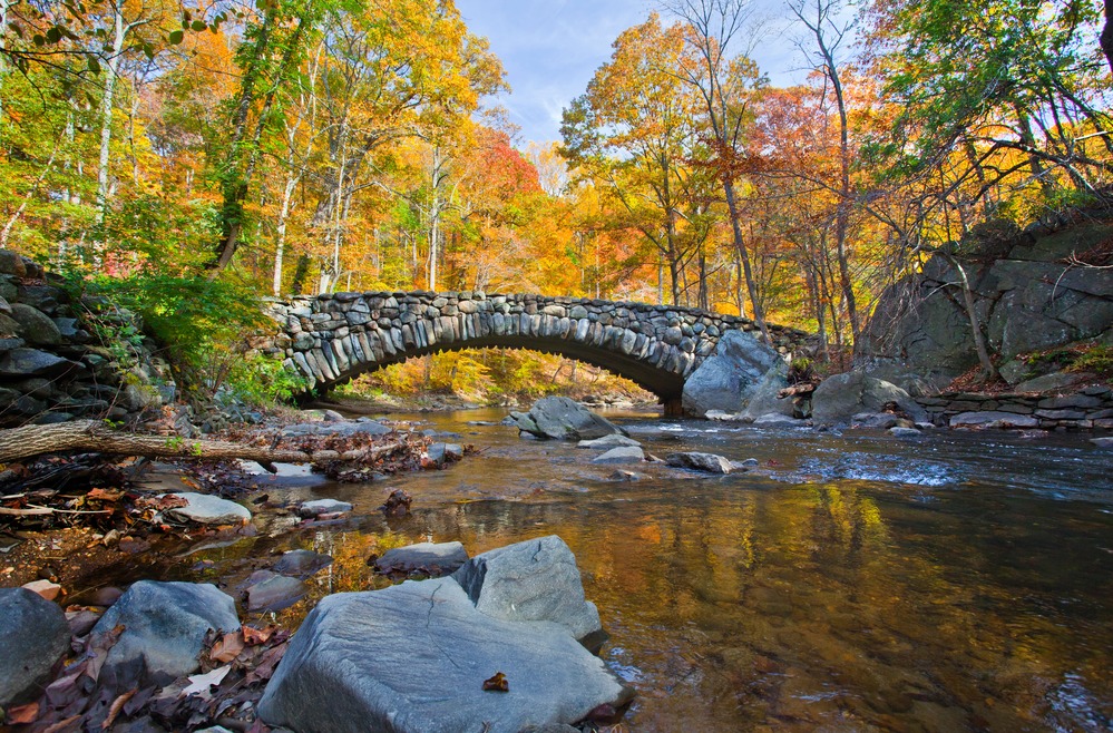 Find Your Fall: Explore National Parks Across the Greater Capital Region