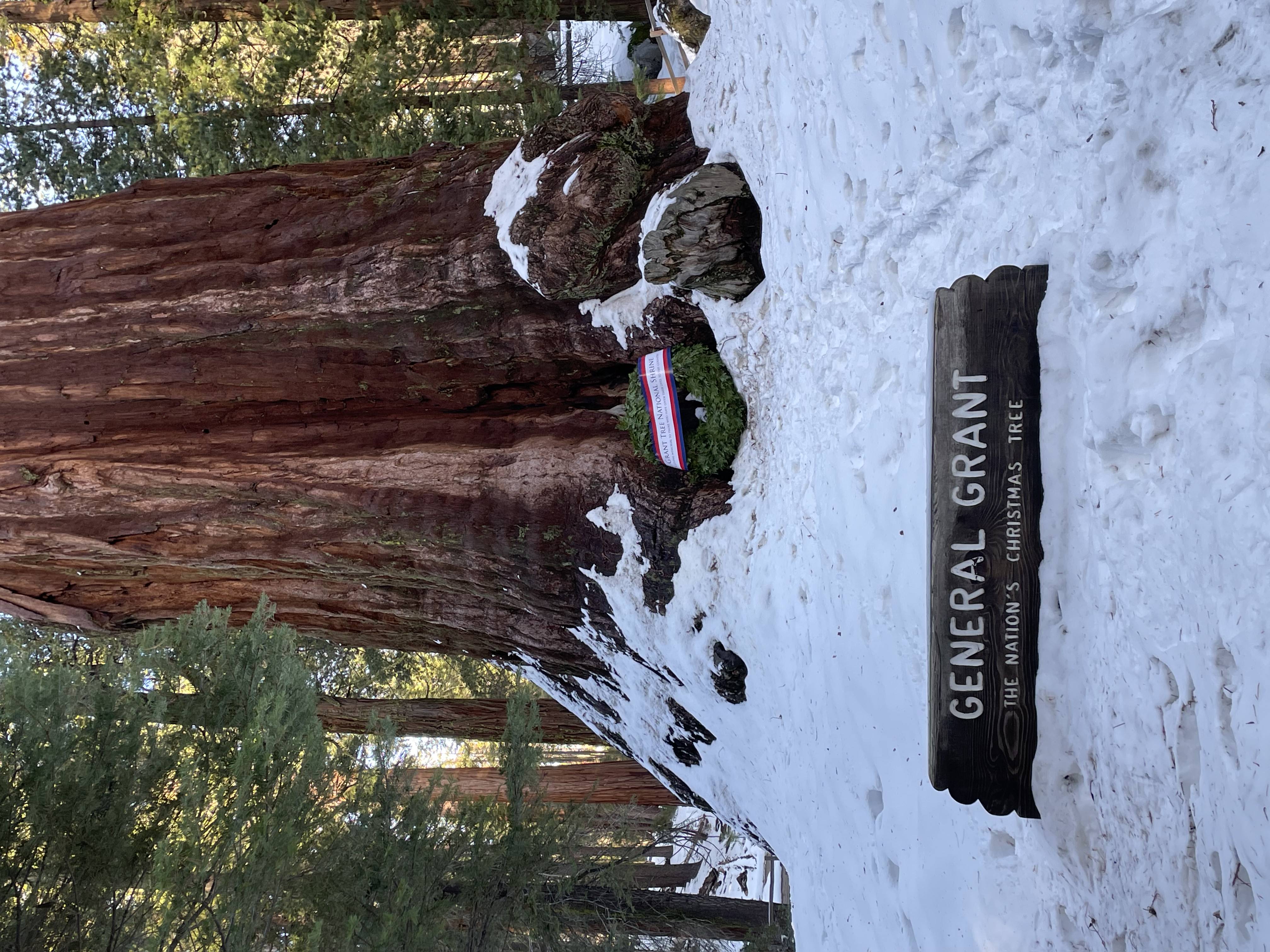 100th Annual Trek to the Nation’s Christmas Tree scheduled for December 14th