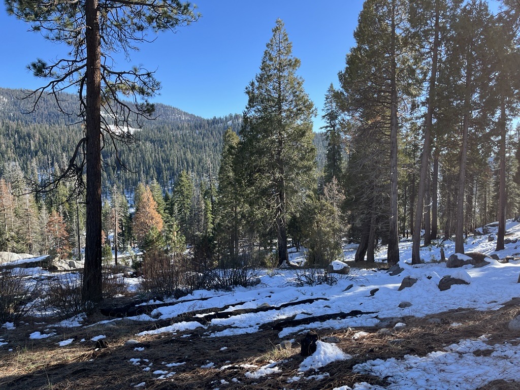 Thanksgiving weekend in Sequoia and Kings Canyon National Parks