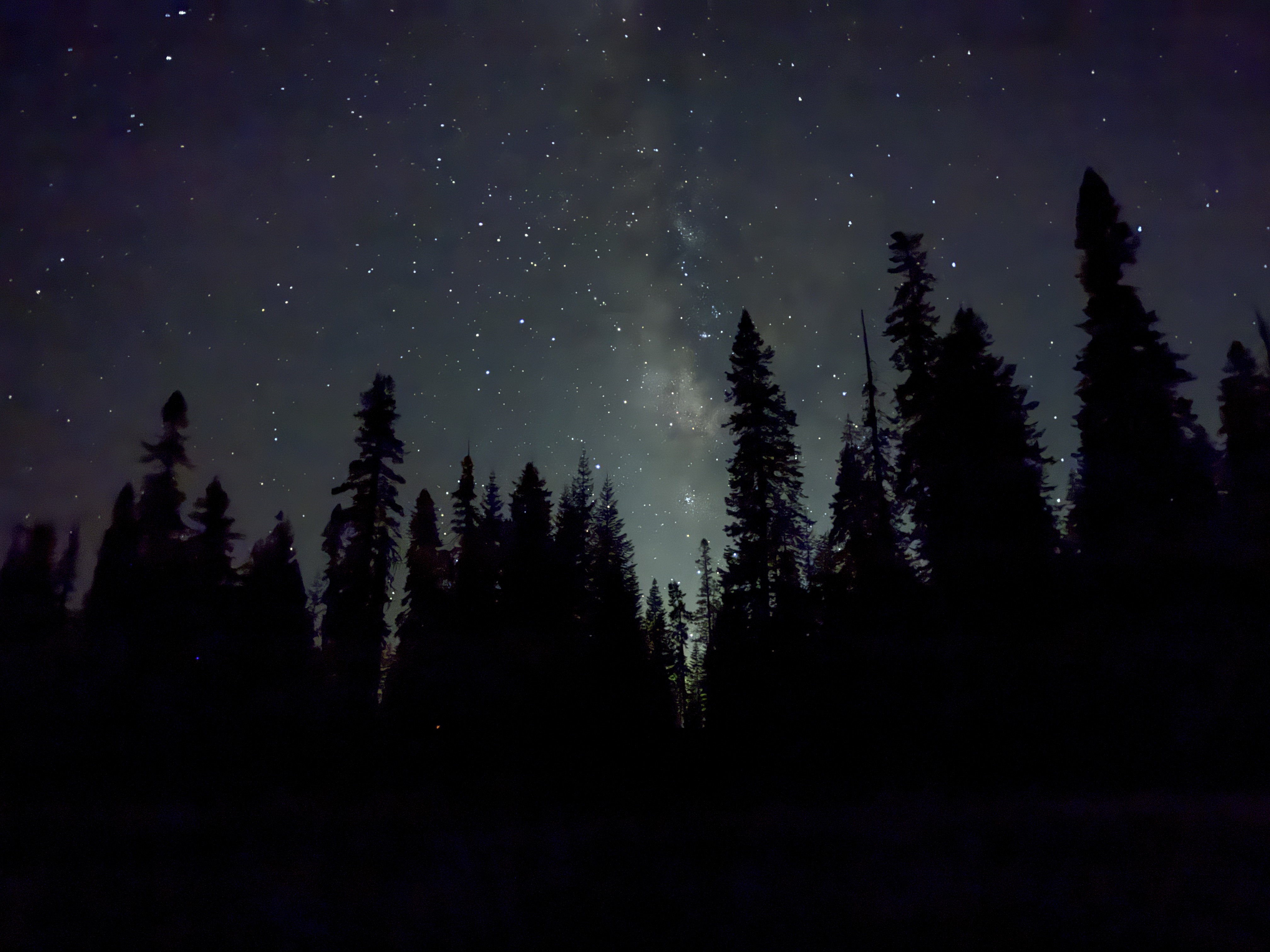 Dark Sky Festival brings science, stargazing and awe to the Sequoia and Kings Canyon National Parks