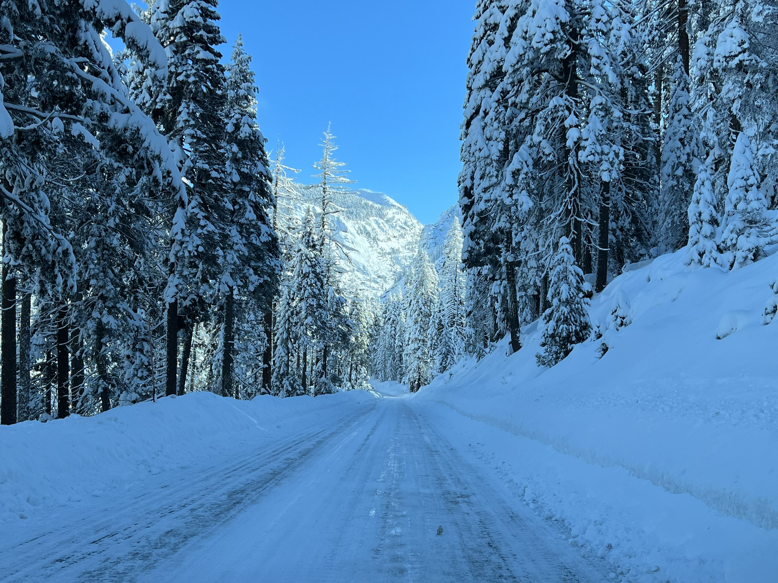 Winter storm expected at Sequoia and Kings Canyon during holiday week