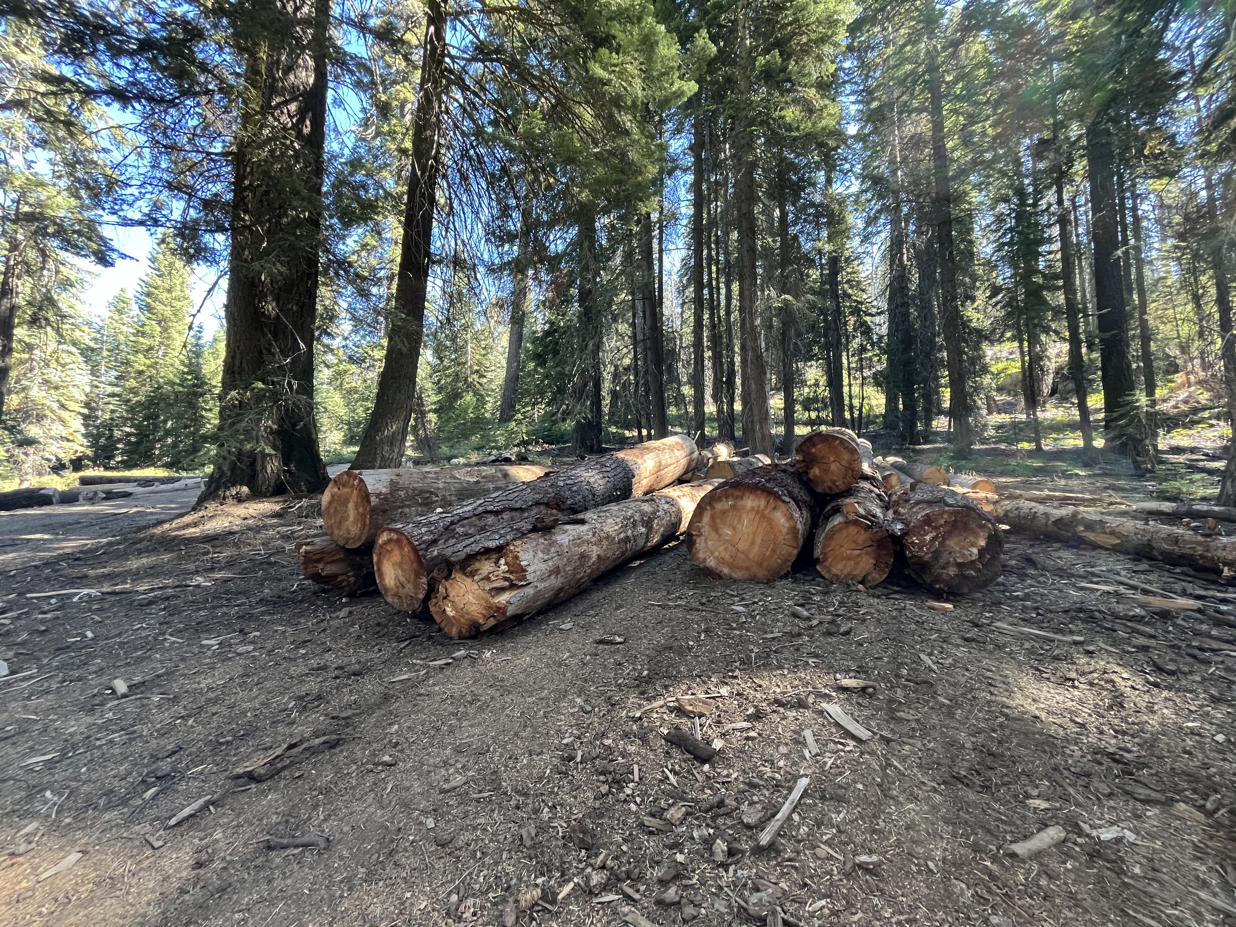2026 Firewood Permits Available in Sequoia and Kings Canyon National Parks