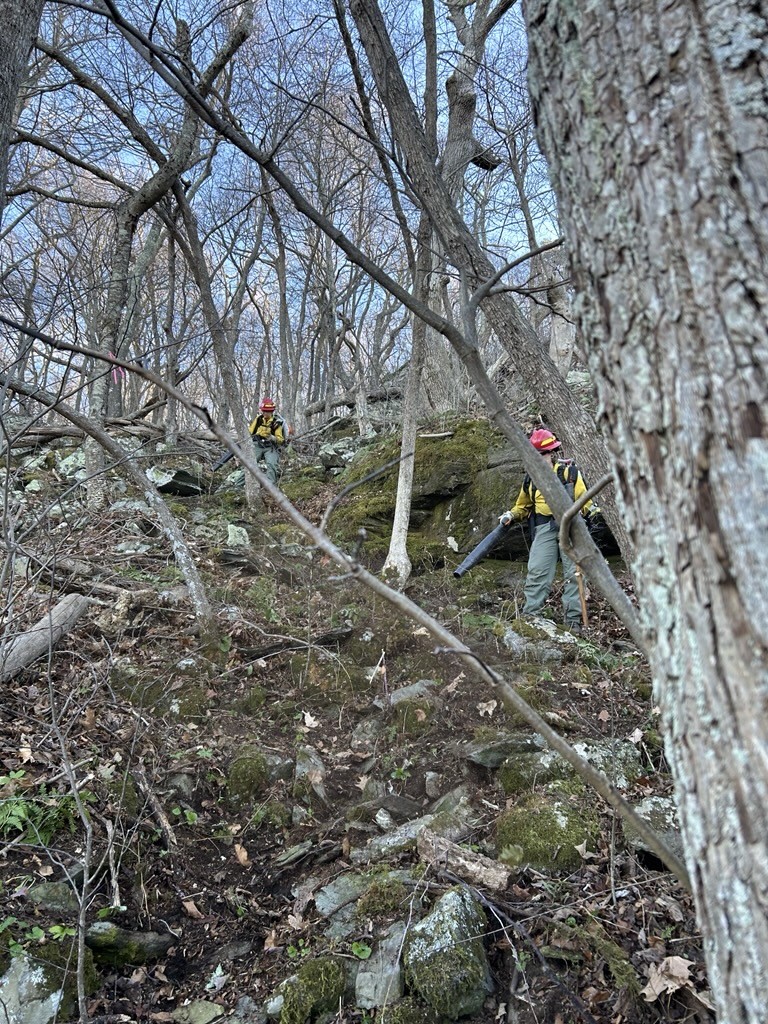 Firefighters work to suppress Bear Den Mountain Fire in Shenandoah National Park