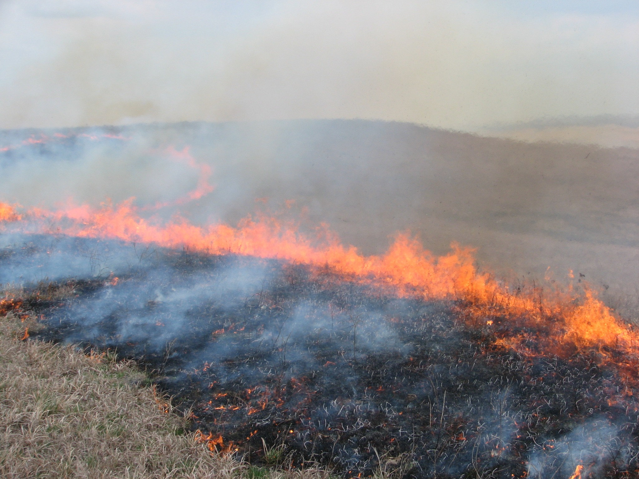 Prescribed Fire Season at Tallgrass Prairie National Preserve