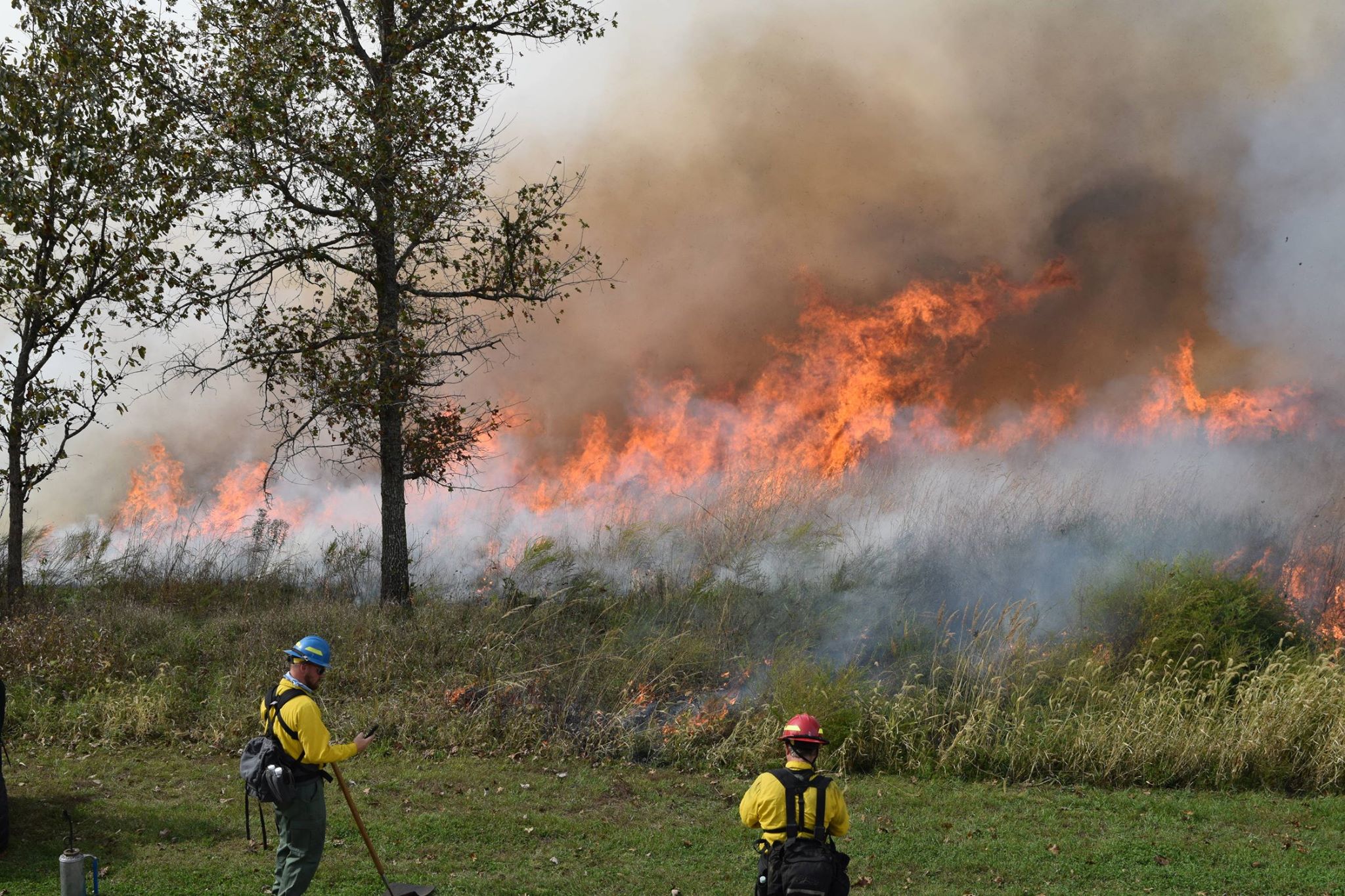 Wilson’s Creek National Battlefield Prescribed Burns