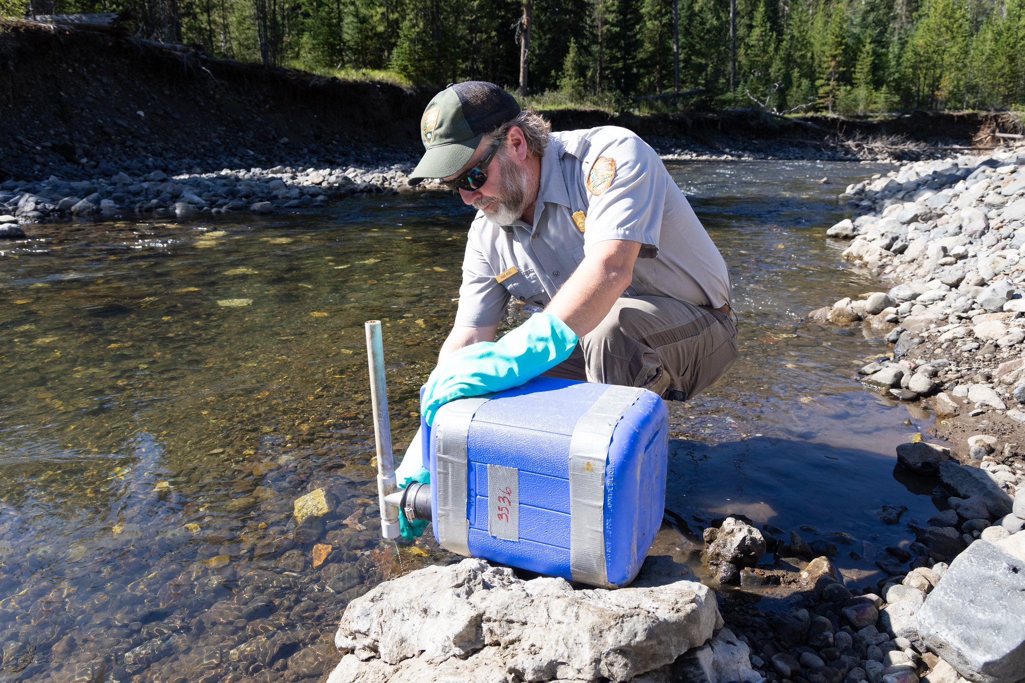 Yellowstone National Park to remove invasive fish from Buffalo Creek