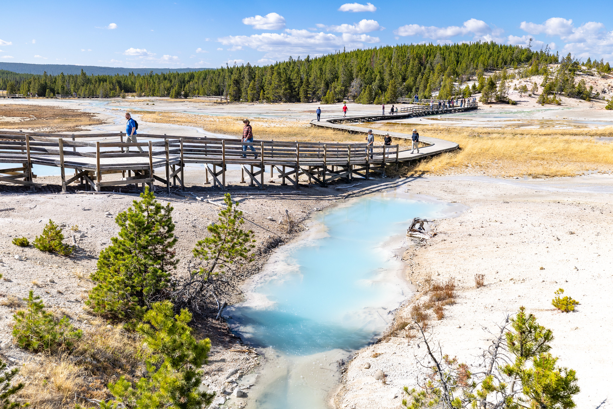 Yellowstone National Park reports September 2026 visitation statistics