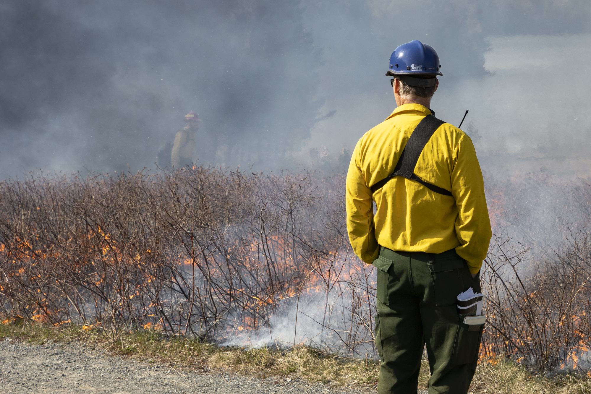 Spring Prescribed Burns Planned for Acadia National Park