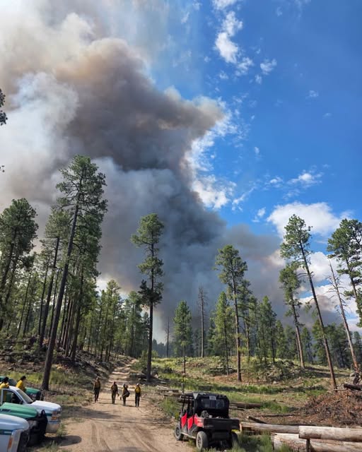 Pueblo Parks Group Implements Stage II Fire Restrictions