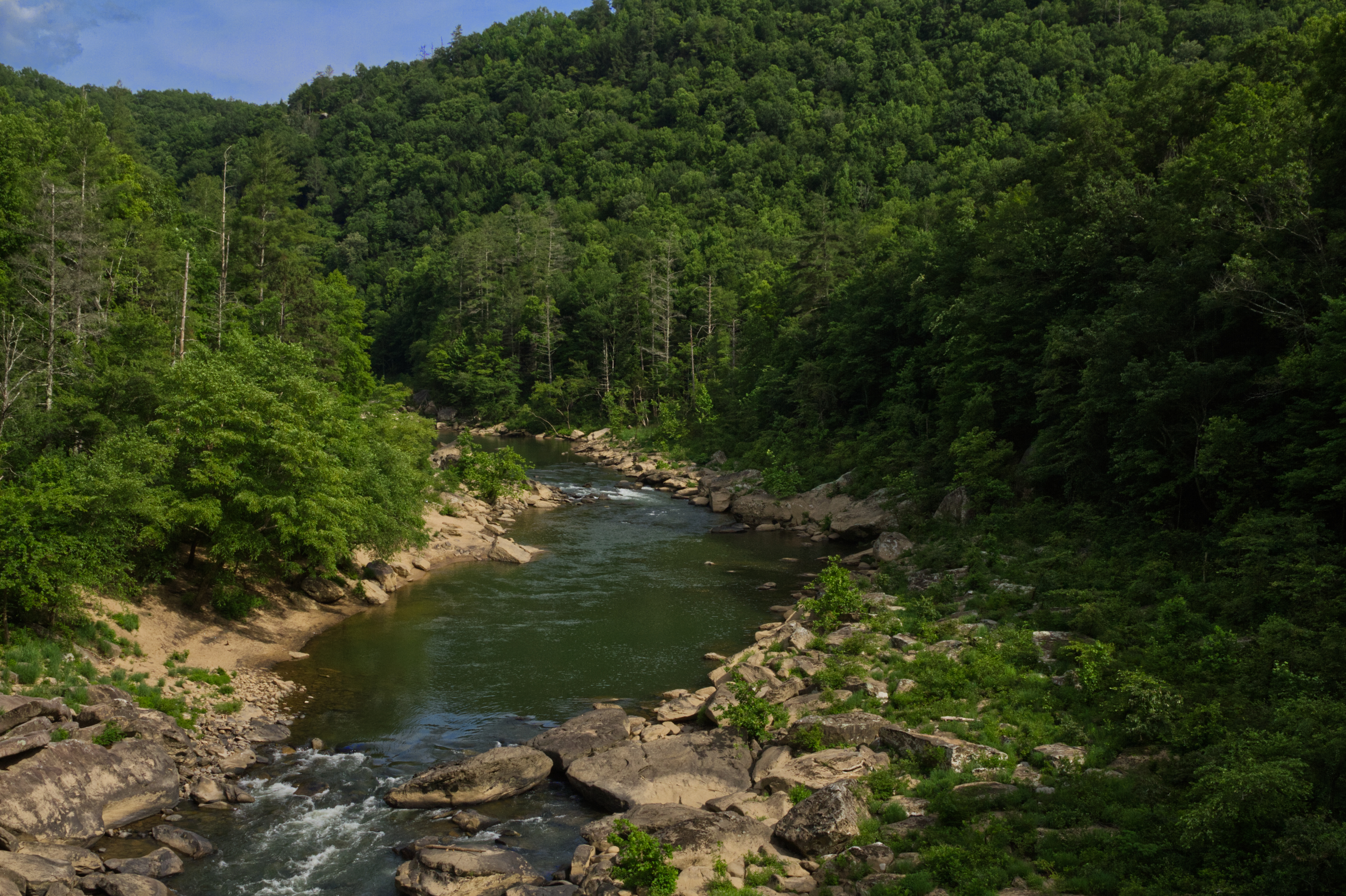 National Park Service and the University of Tennessee Announce New Partnership