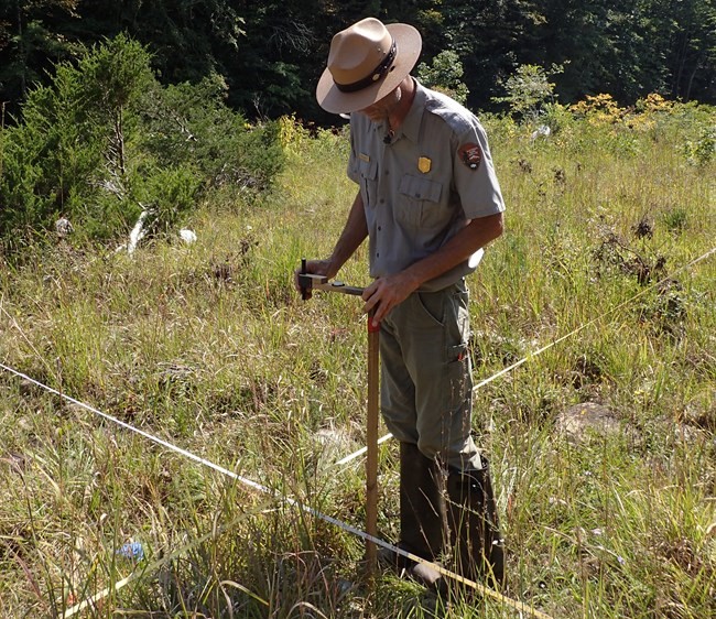 The Public is Invited to the Annual Big South Fork and Obed Science Meeting on April 8, 2026