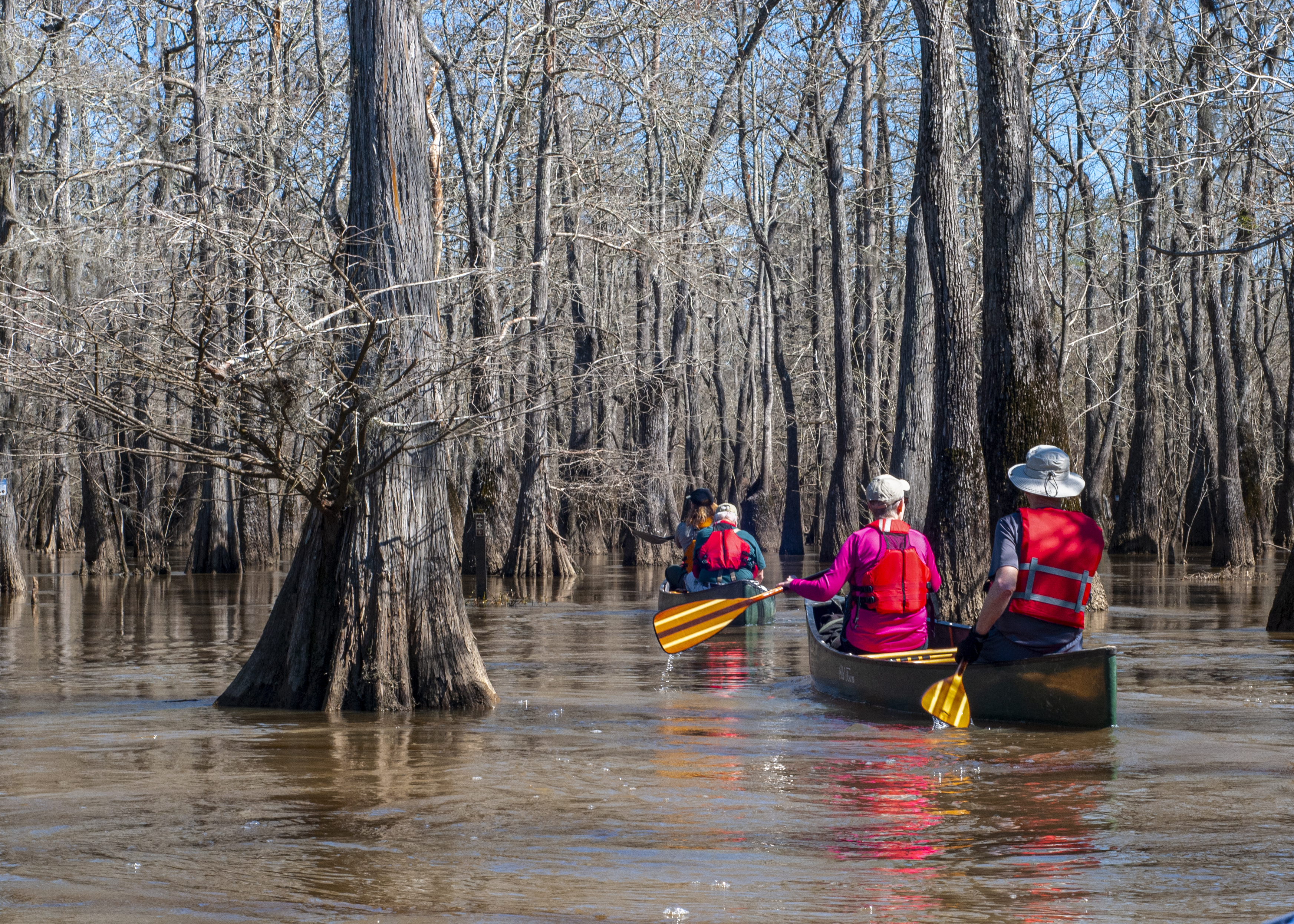 Winter 2026 Happenings at Big Thicket National Preserve