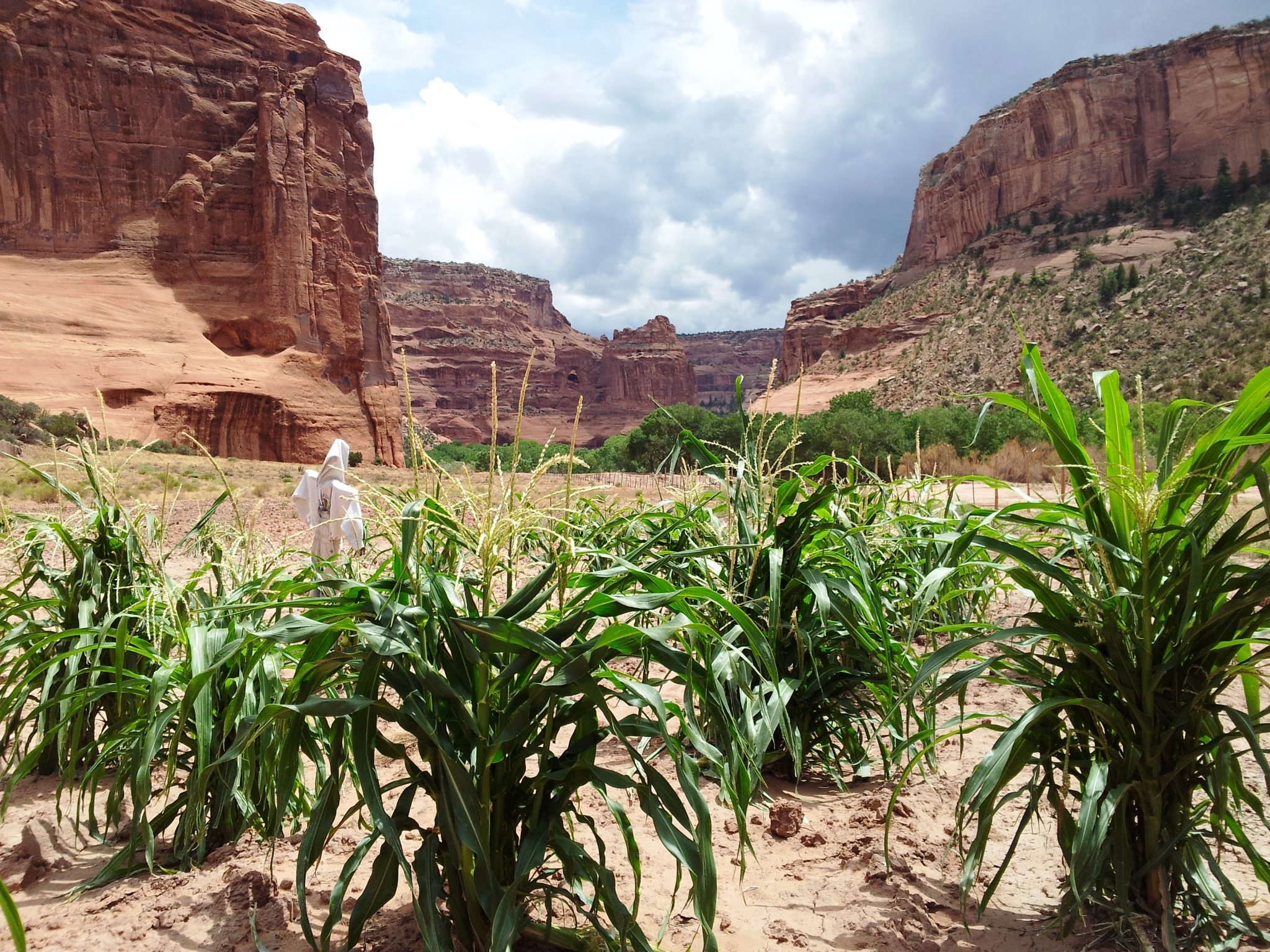 Canyon de Chelly National Monument