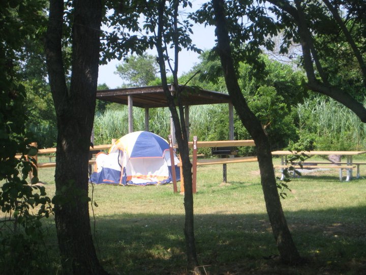 Tent at Floyd Bennett Field campsite in Gateway's Jamaica Bay unit.