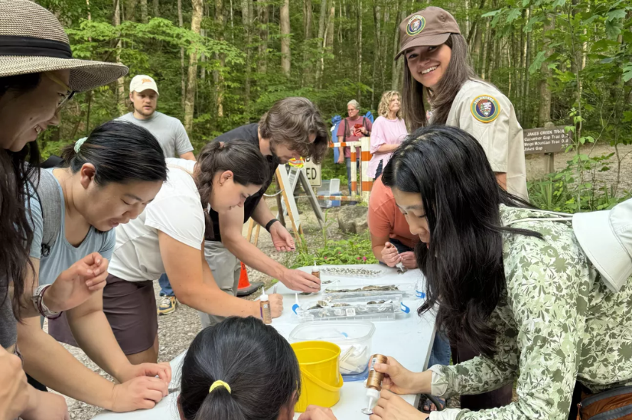 Great Smoky Mountains National Park Welcomes Six Artists-in-Residence for 2026