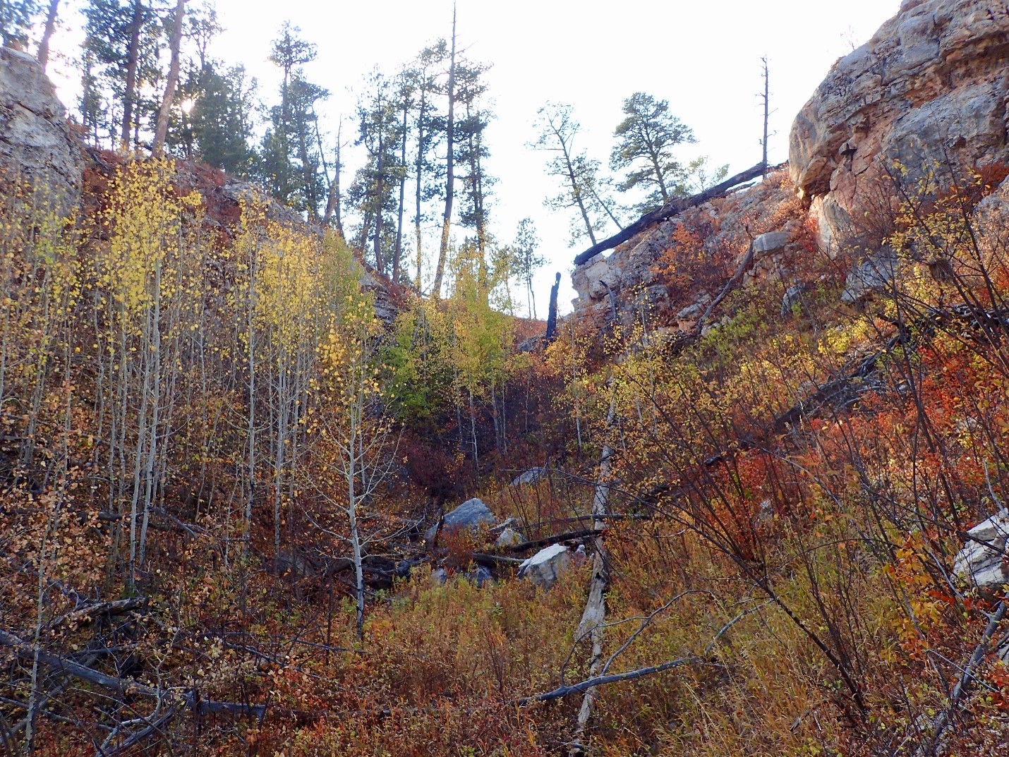 Jewel Cave Announces Operations for 2026 Winter Season