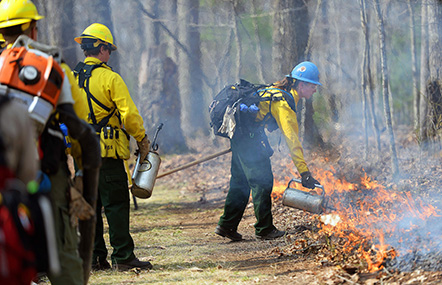 Prescribed Burns Planned for New River Gorge National Park and Preserve